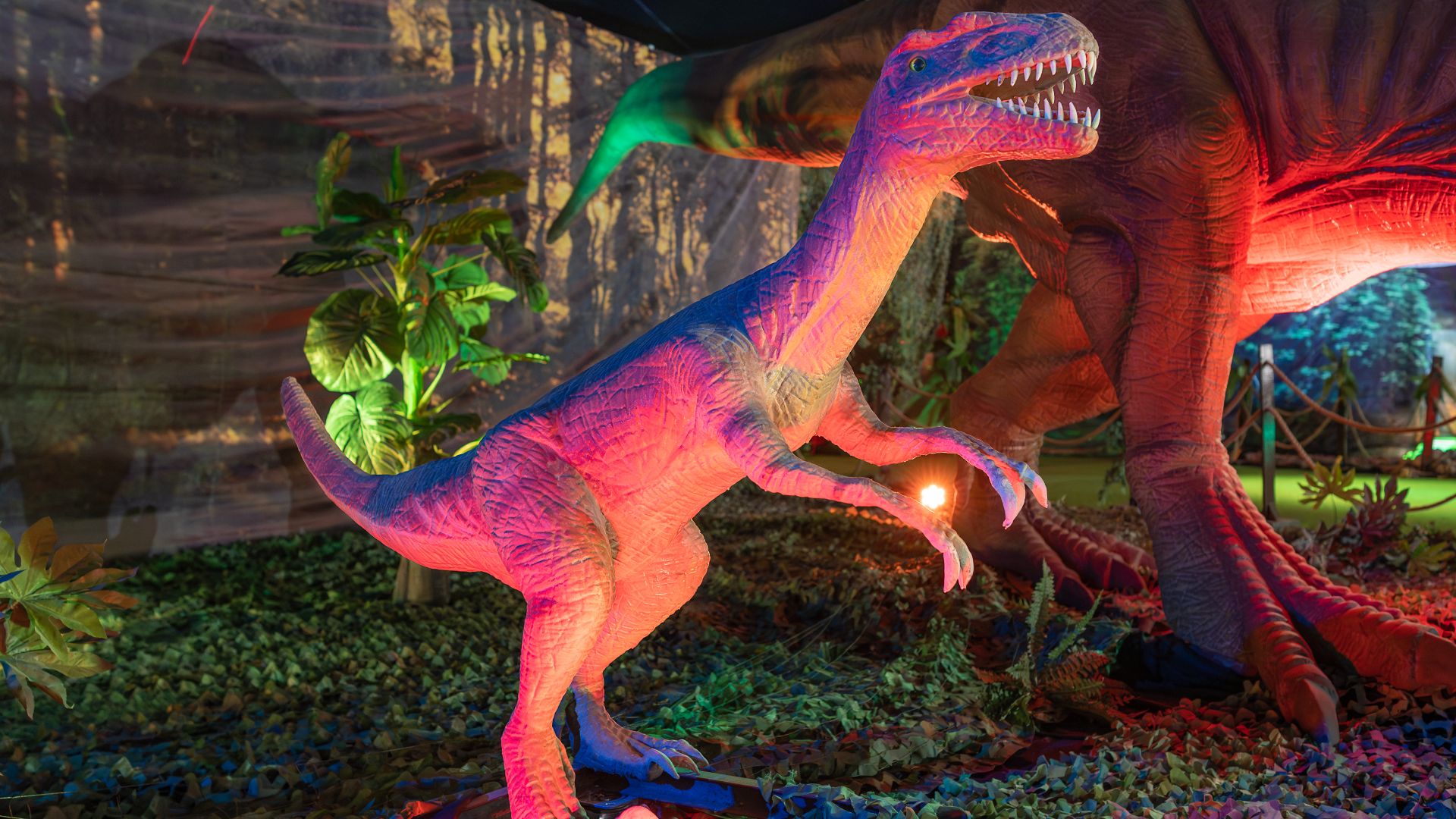 File:Tyrannosaurus Rex, Expo Dinosaurios 2023 - A740976.jpg