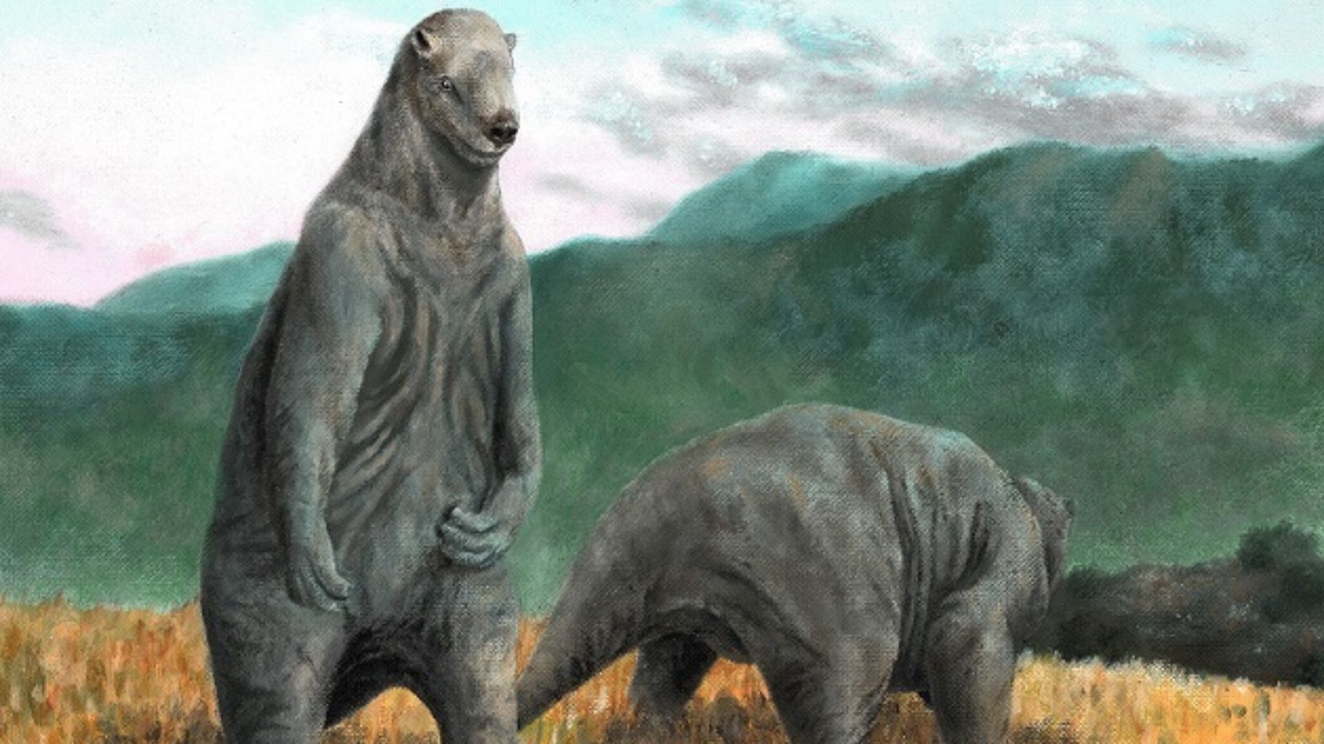 File:Megatherium americanum Marcus Burkhardt.jpg
