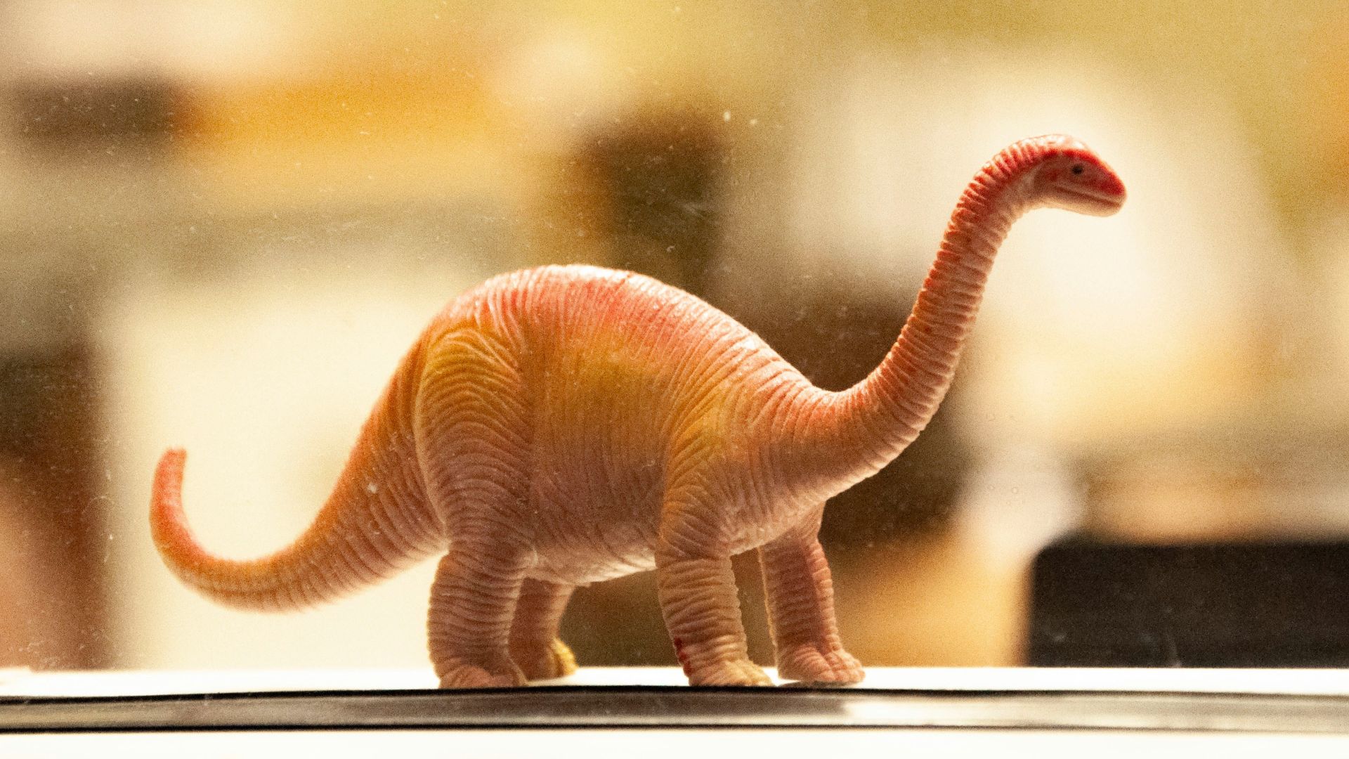 dinosaur toy on white desk