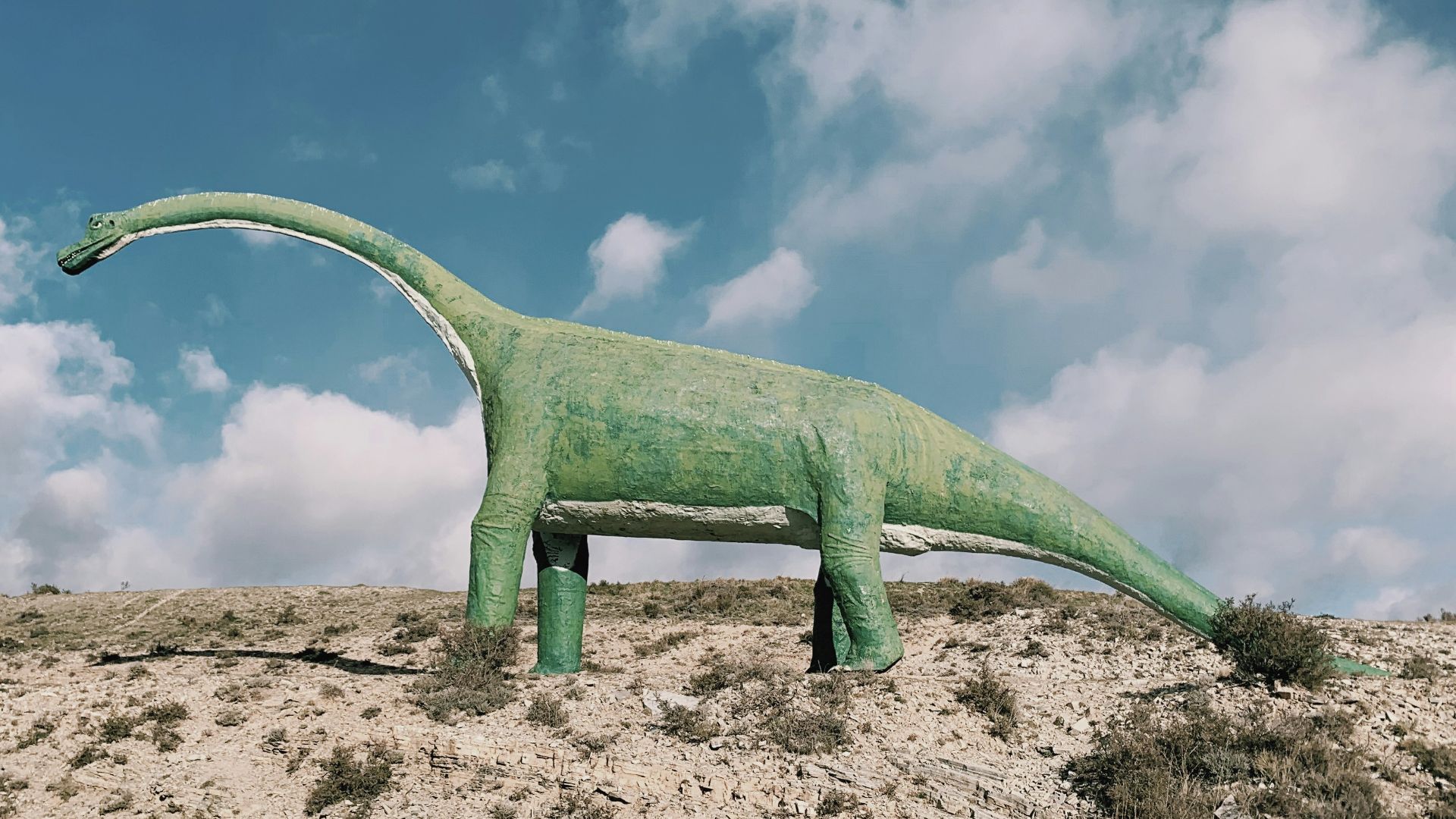 green dinosaur on brown sand during daytime
