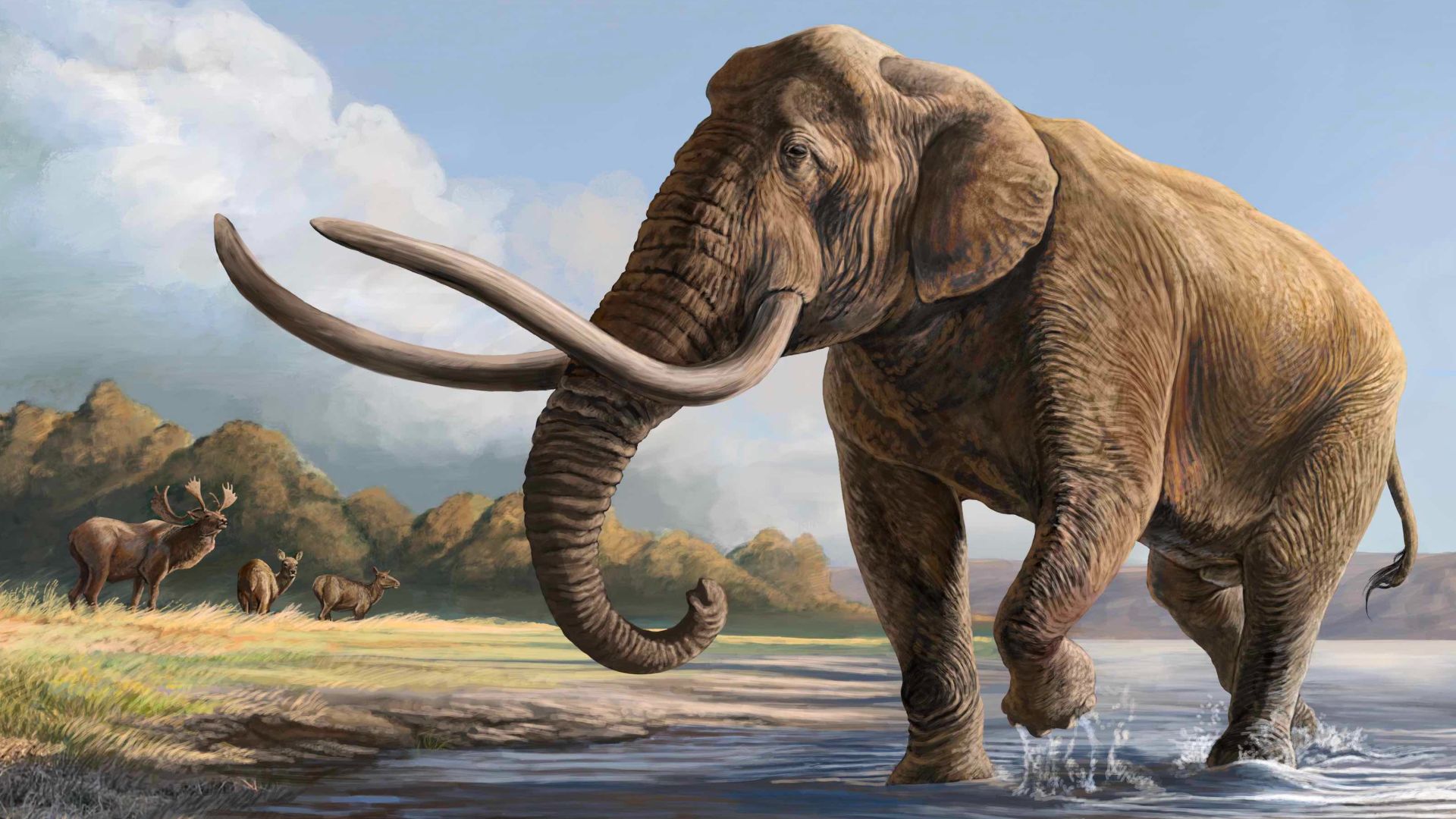 File:Palaeoloxodon naumanni life restoration.jpg