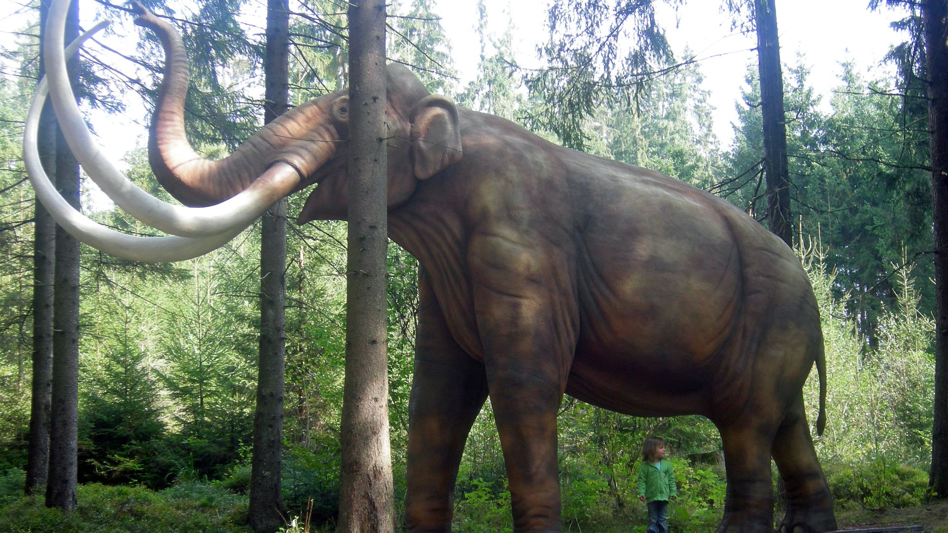 File:Mammoth Mammut model.JPG