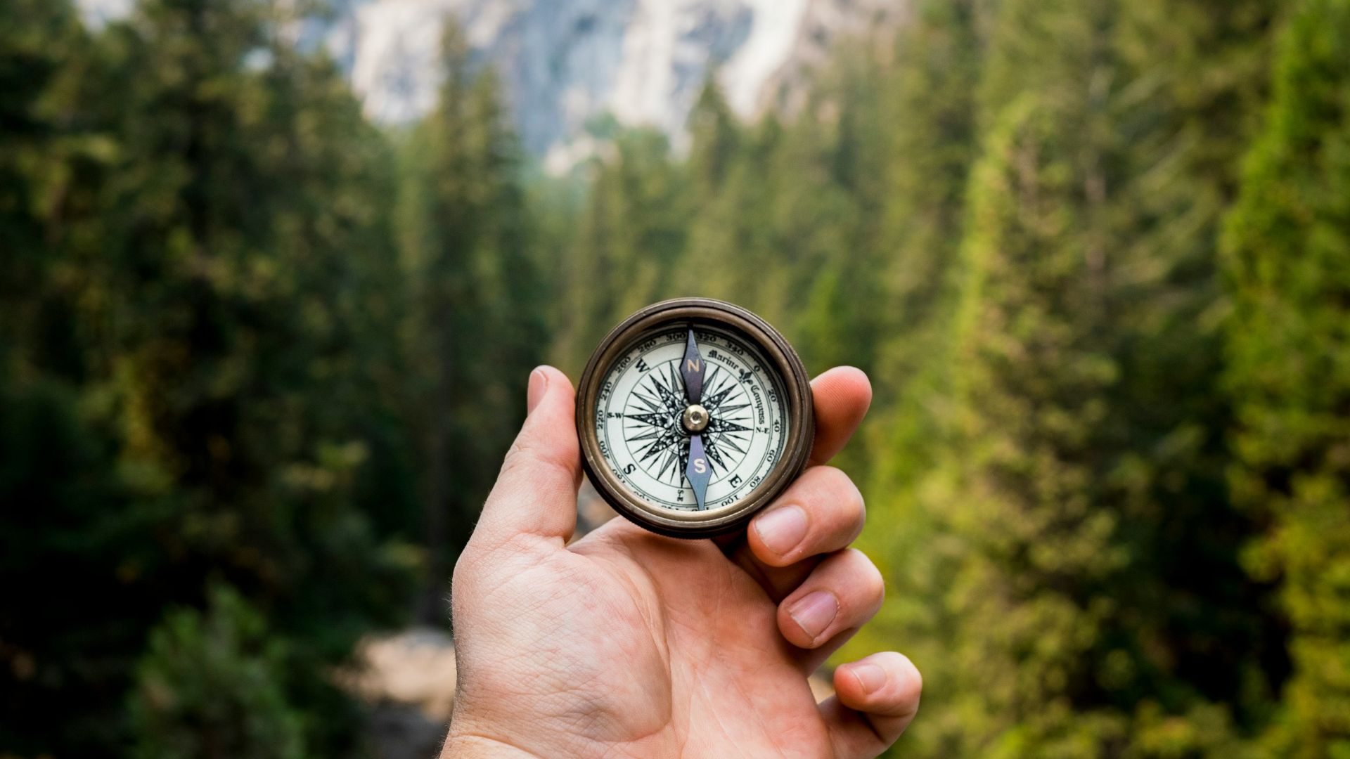 person holding compass facing towards green pine trees