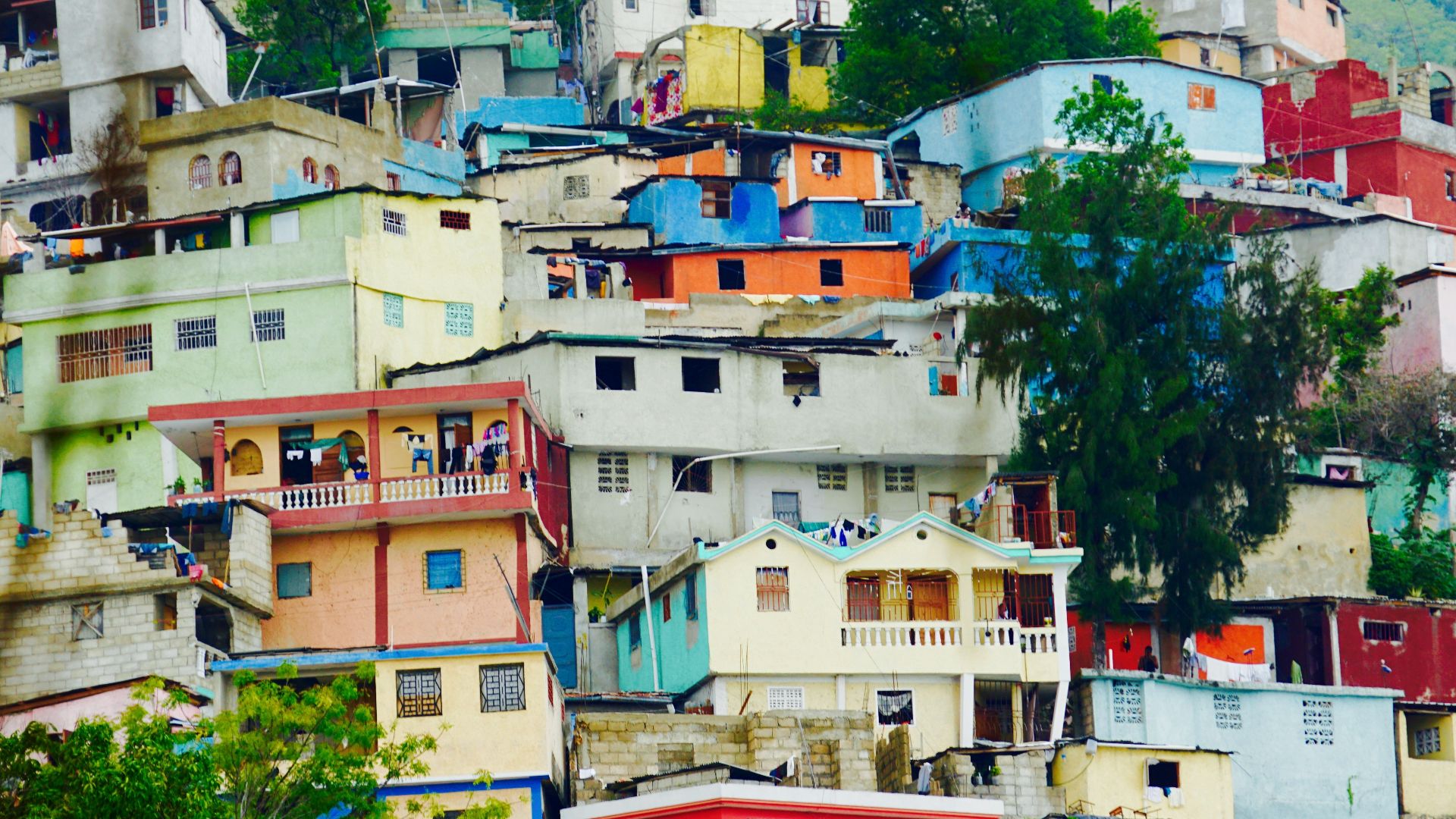 white and brown concrete houses near green trees during daytime
