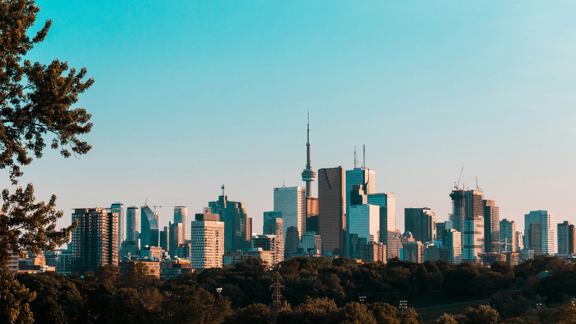 photography of high-rise buildings during daytime