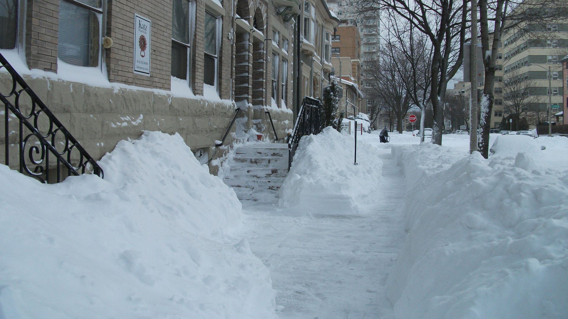 File:Groundhog Day 2011 Blizzard (5413836208).jpg