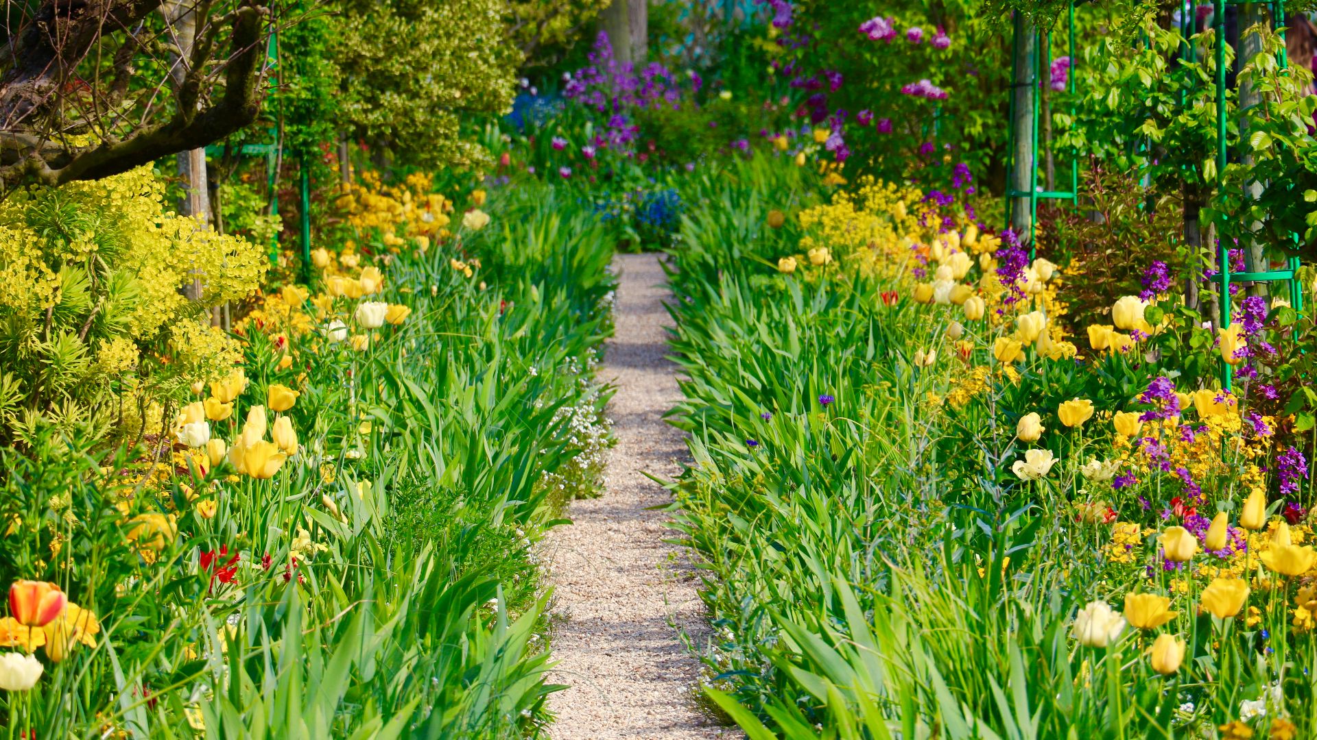 File:Claude Monet's Garden in Giverny, France, April 2017.jpg