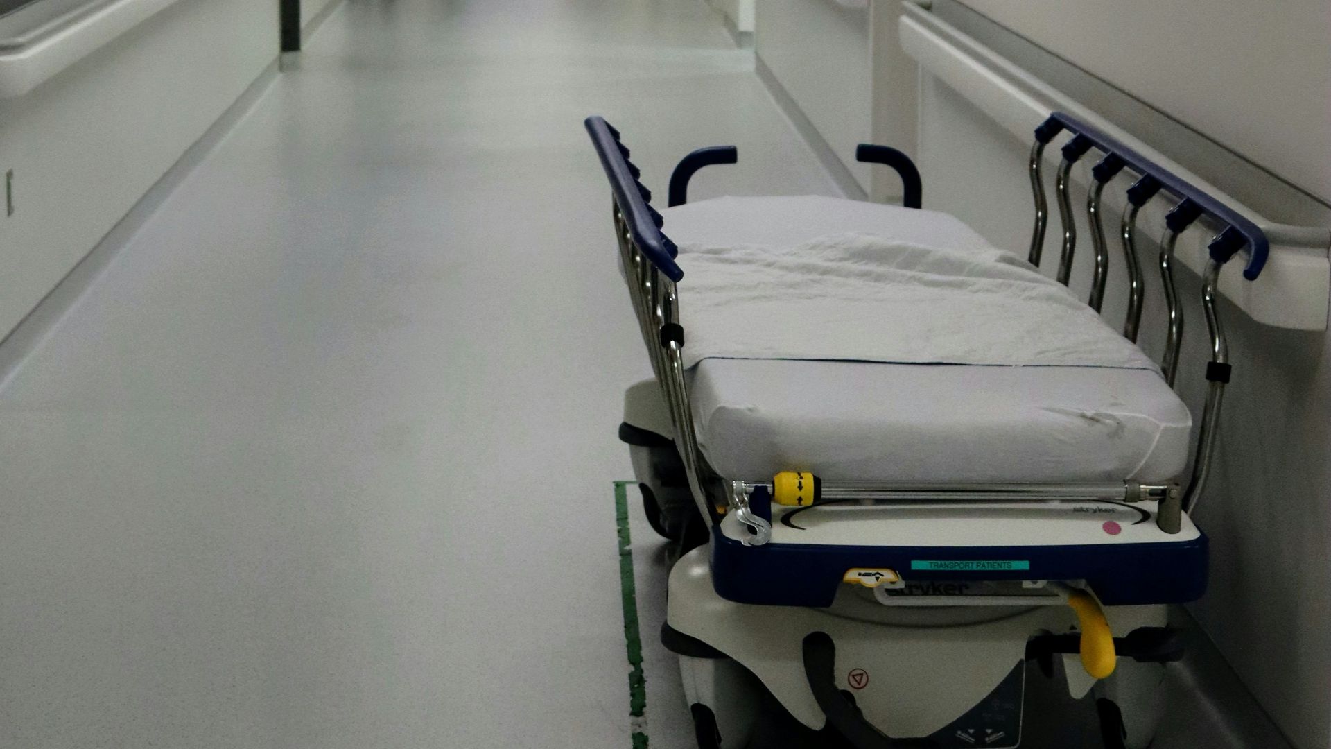 white and black hospital bed