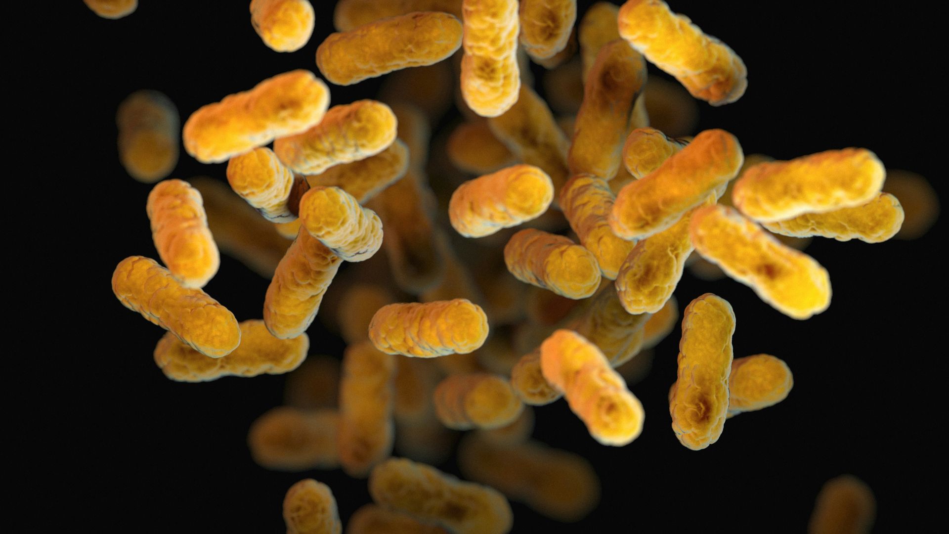 a close up of a bunch of small yellow things