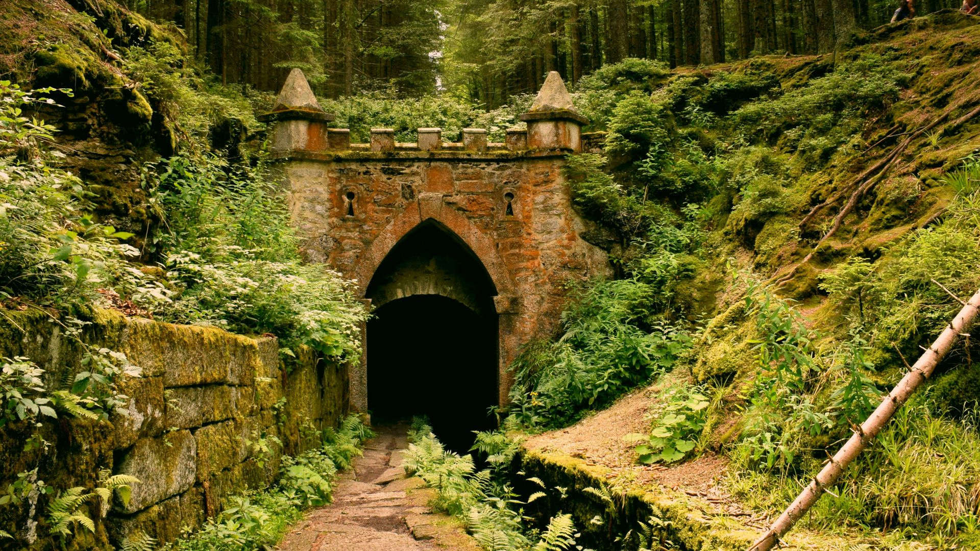 gray concrete tunnel under green trees