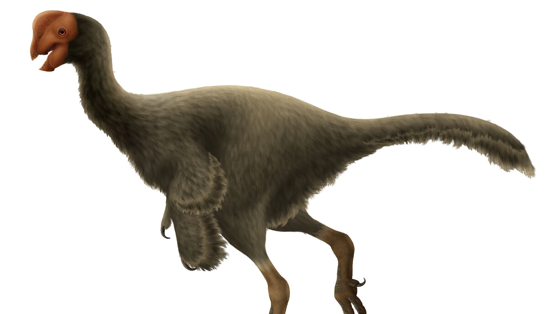 17919255423e689d09e54484002dda3351a063d1fa79613d7f.png