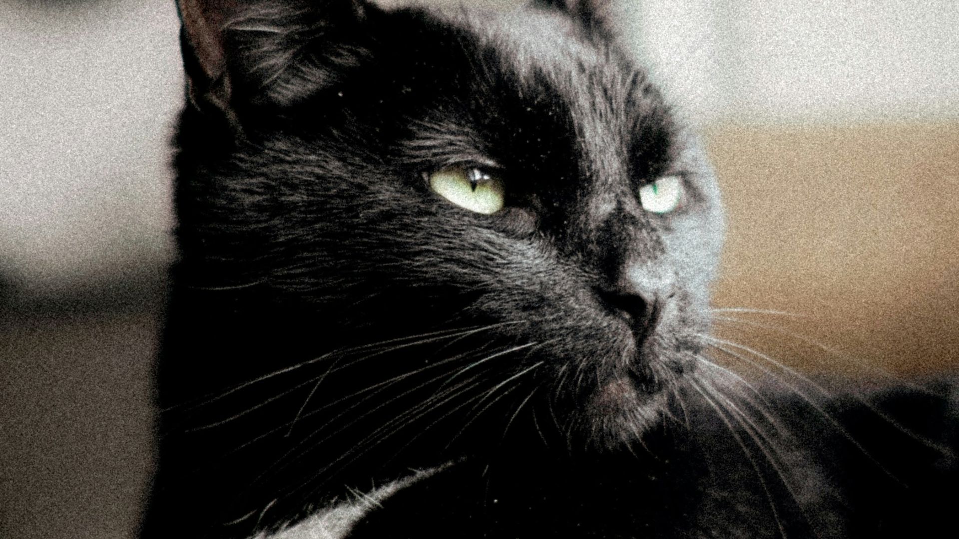 17924330734a1bcc9b9cc904ec530c07a810c9746e518f7f5b.jpg