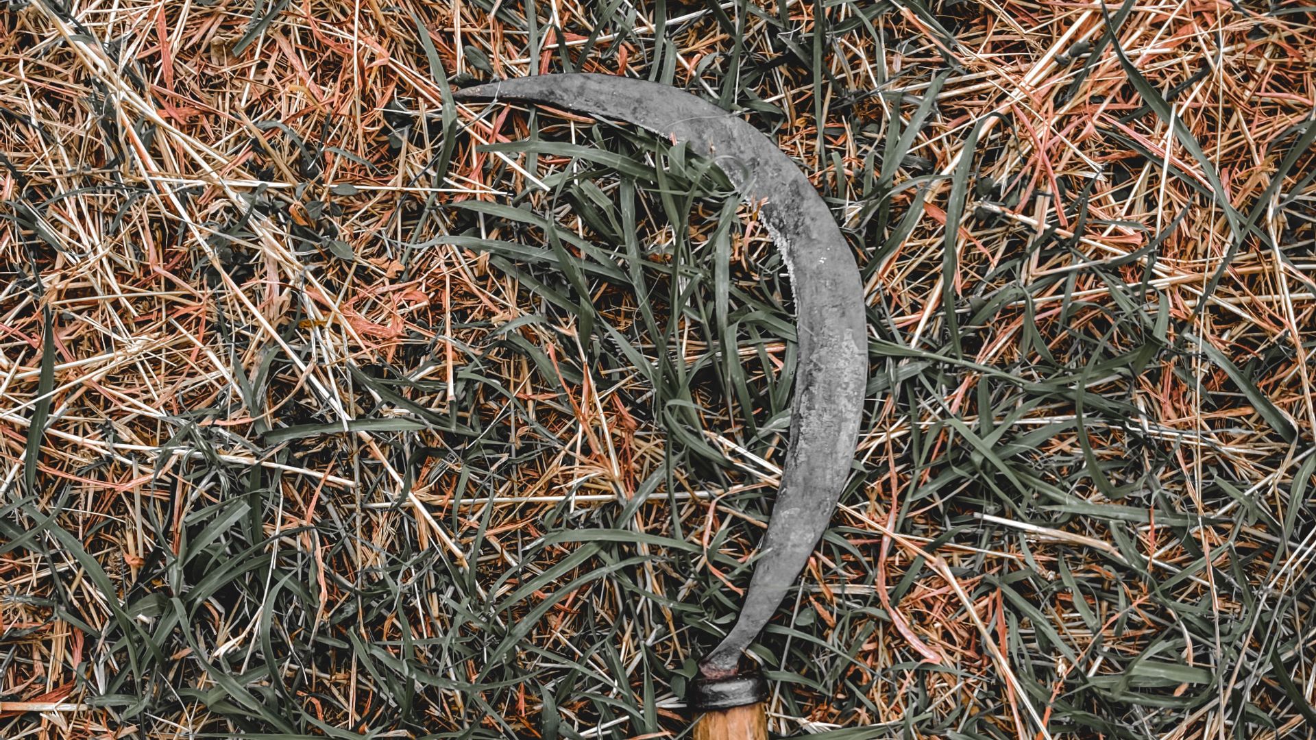 1793125639f44210001f130a208fa22b753ad735acf8257ab3.jpeg