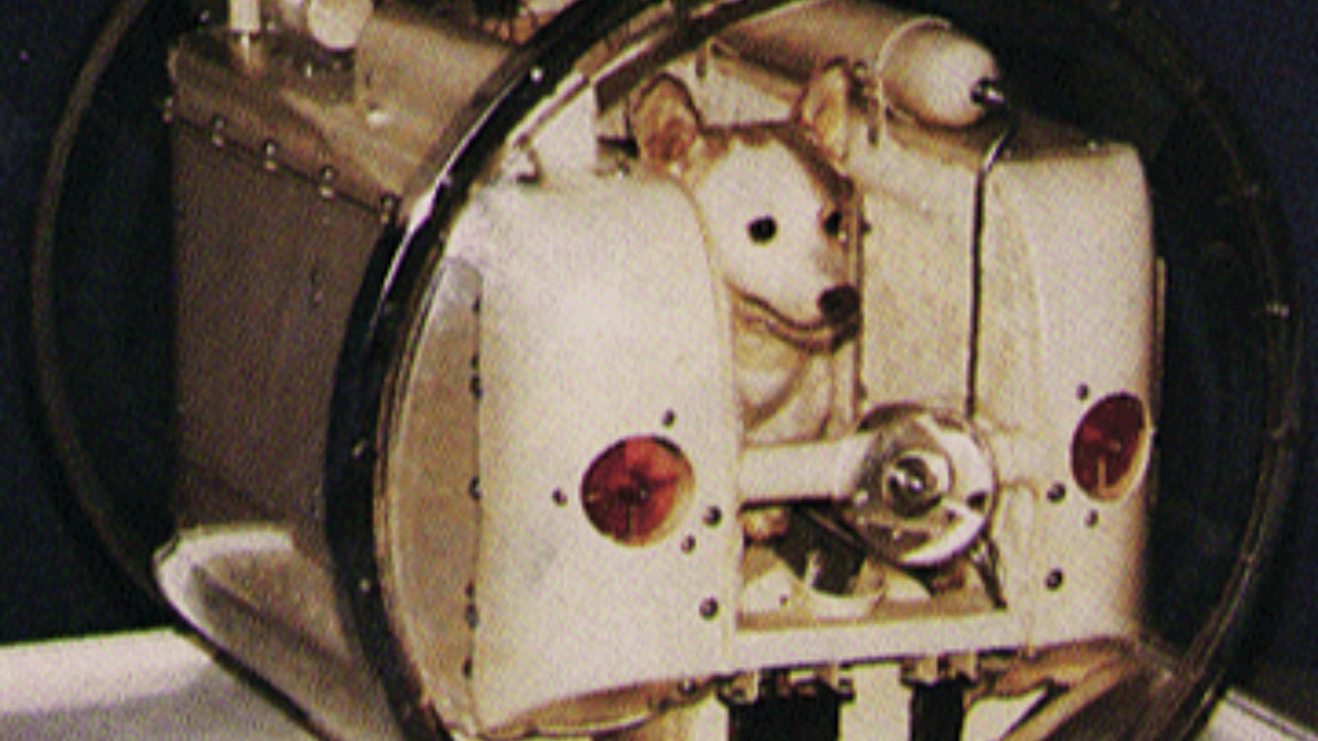 17932228053762b4ce5e8b5006f8bf4a46ac43c23b1b548480.gif