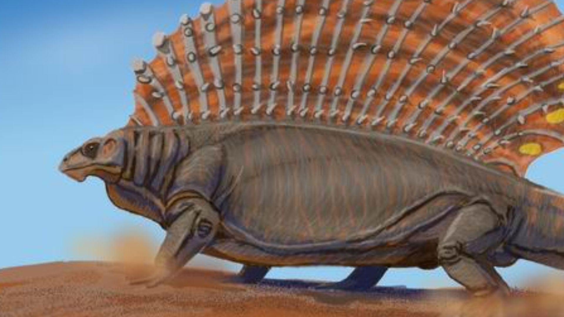 20 Extinct Animals That Humans Never Got the Chance to Know - HistorySnob