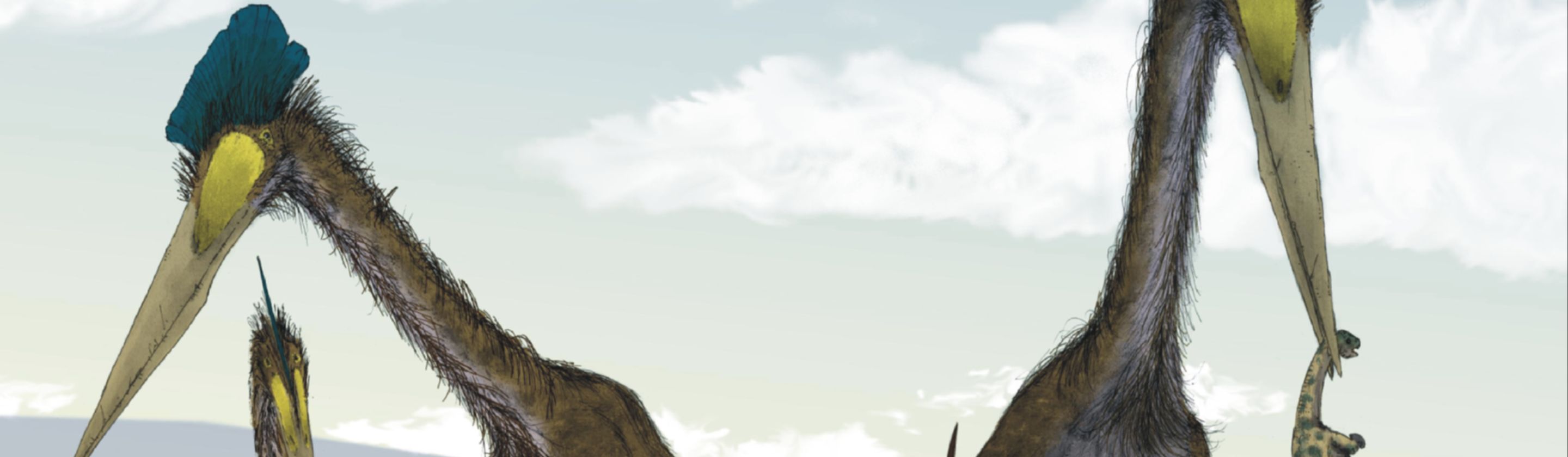 17933892067a7fe81295f1381116923b3323fa3258de5099c3.png
