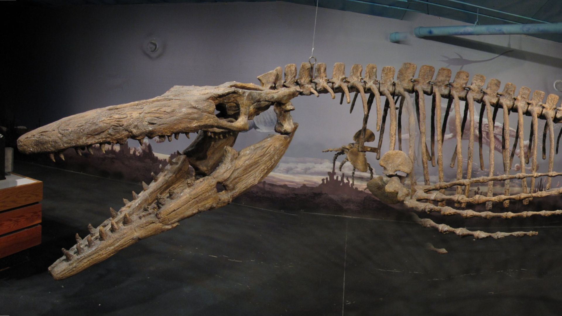 1791407909d137d477561507963657e1663340787b78a15a24.jpg