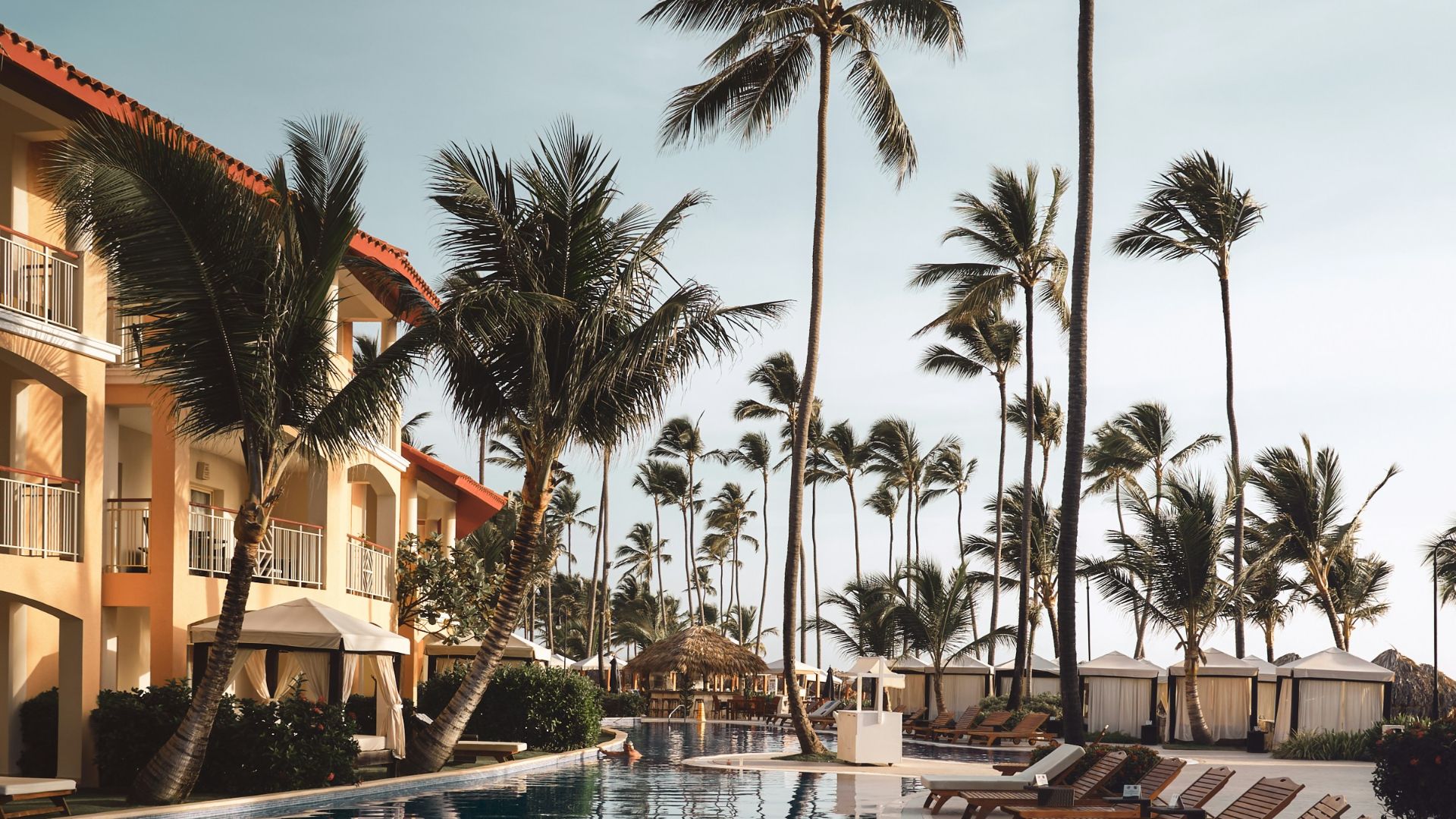 brown wooden lounge chairs near pool surrounded by palm trees