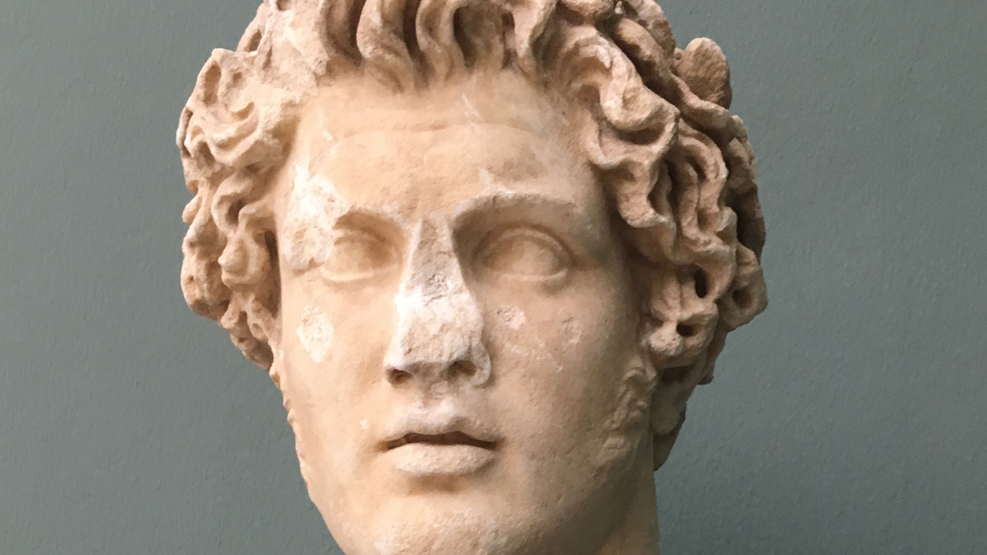 File:Portrait of Pyrrhus, King of Epirus.jpg