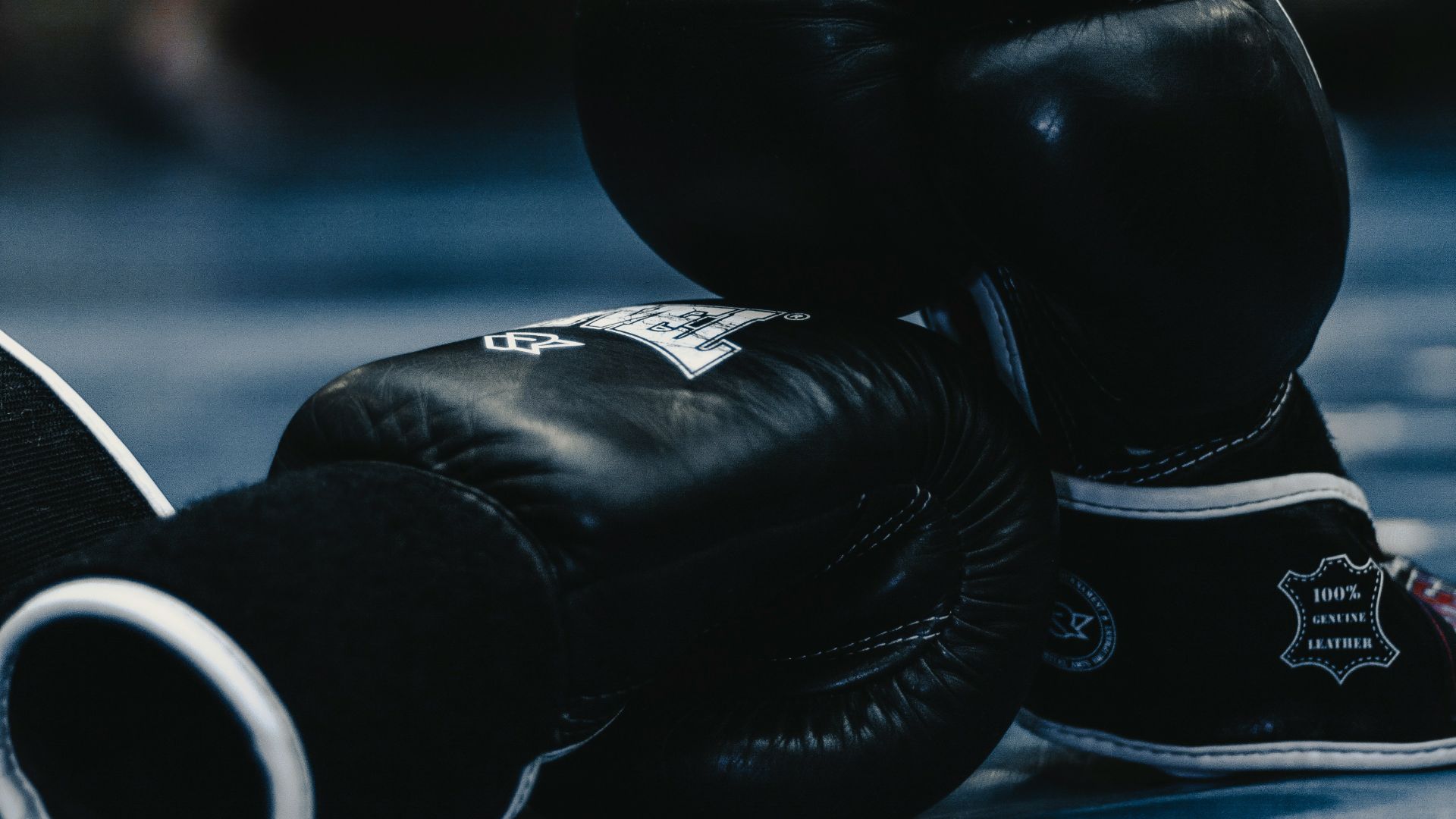 pair of black boxing gloves