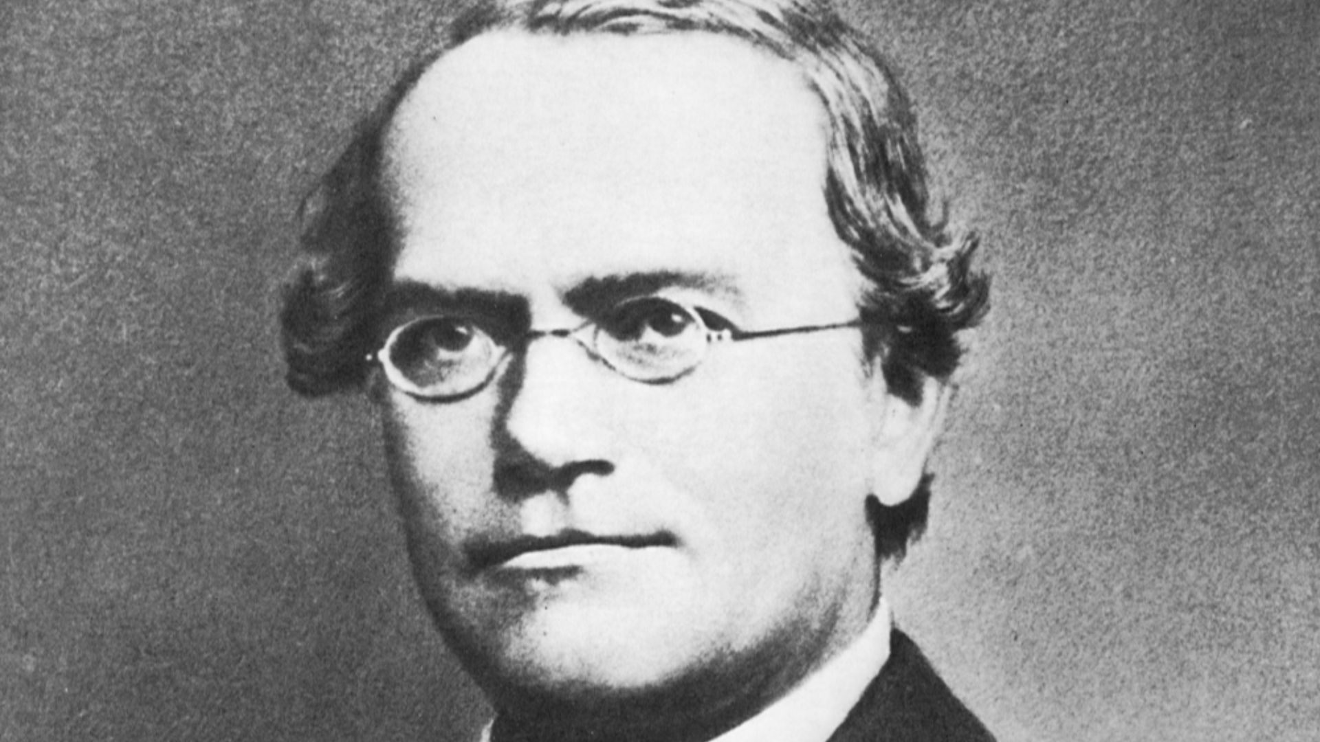 File:Gregor Mendel 2.jpg
