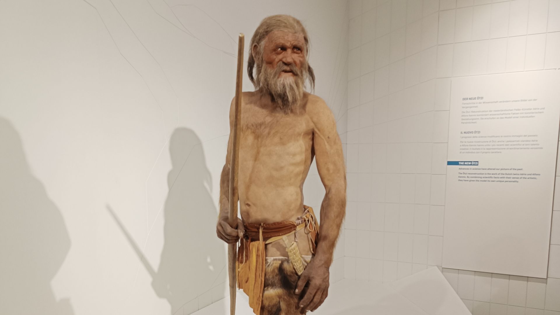 File:Ricostruzione di Ötzi.jpg