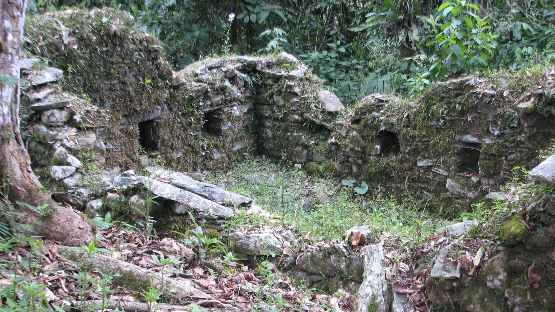 File:Espiritu Pampa Archaeological site - overgrown house.jpg
