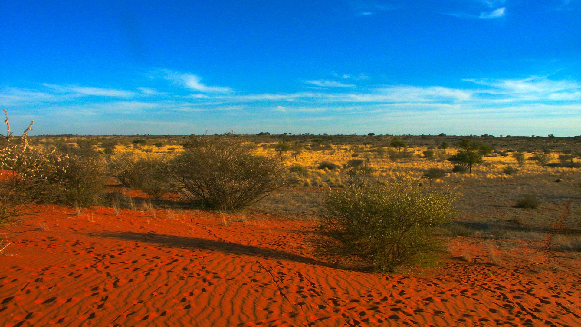 File:Kalahari PICT0036.JPG