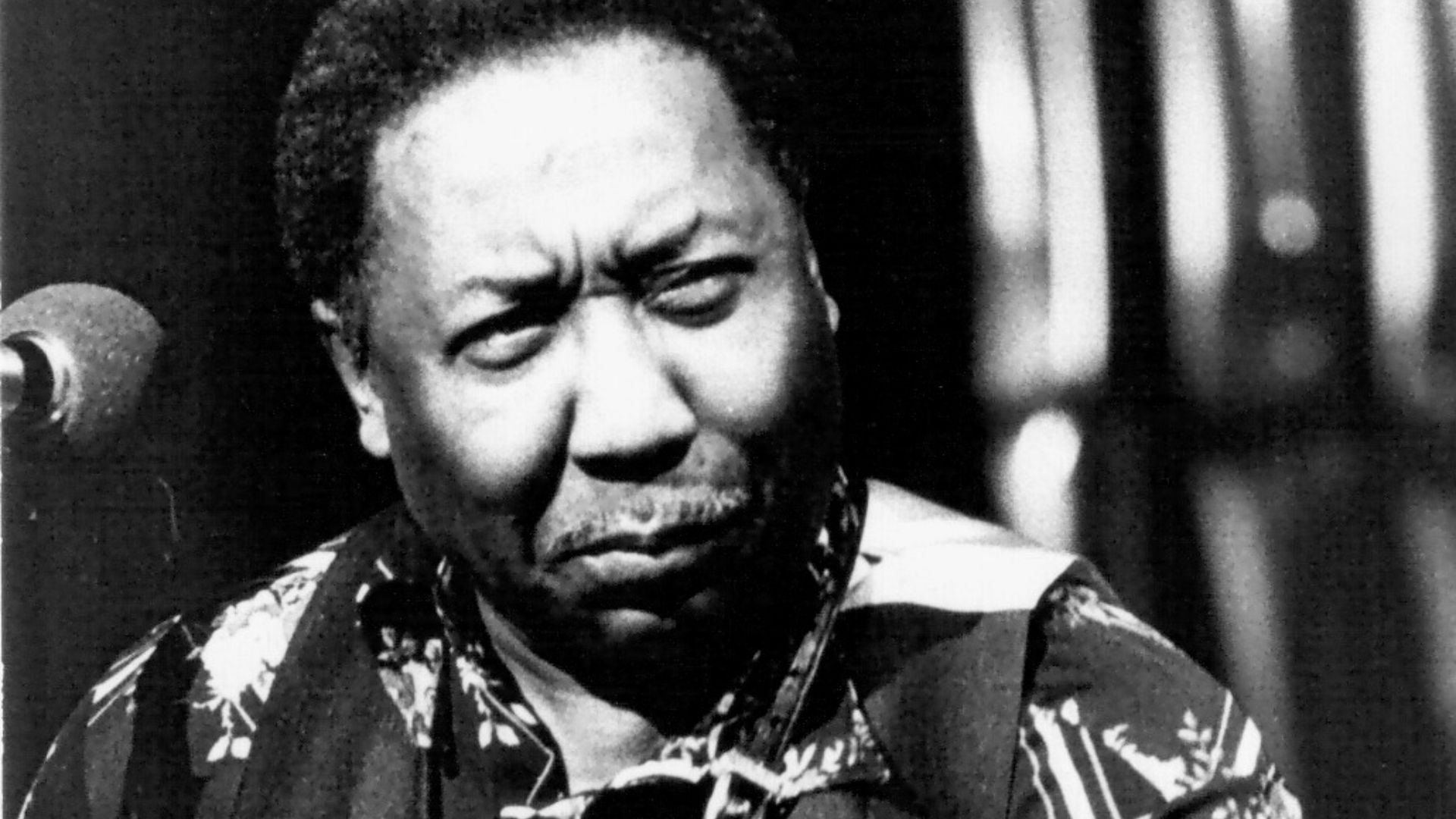 File:Muddy Waters 1976.jpg