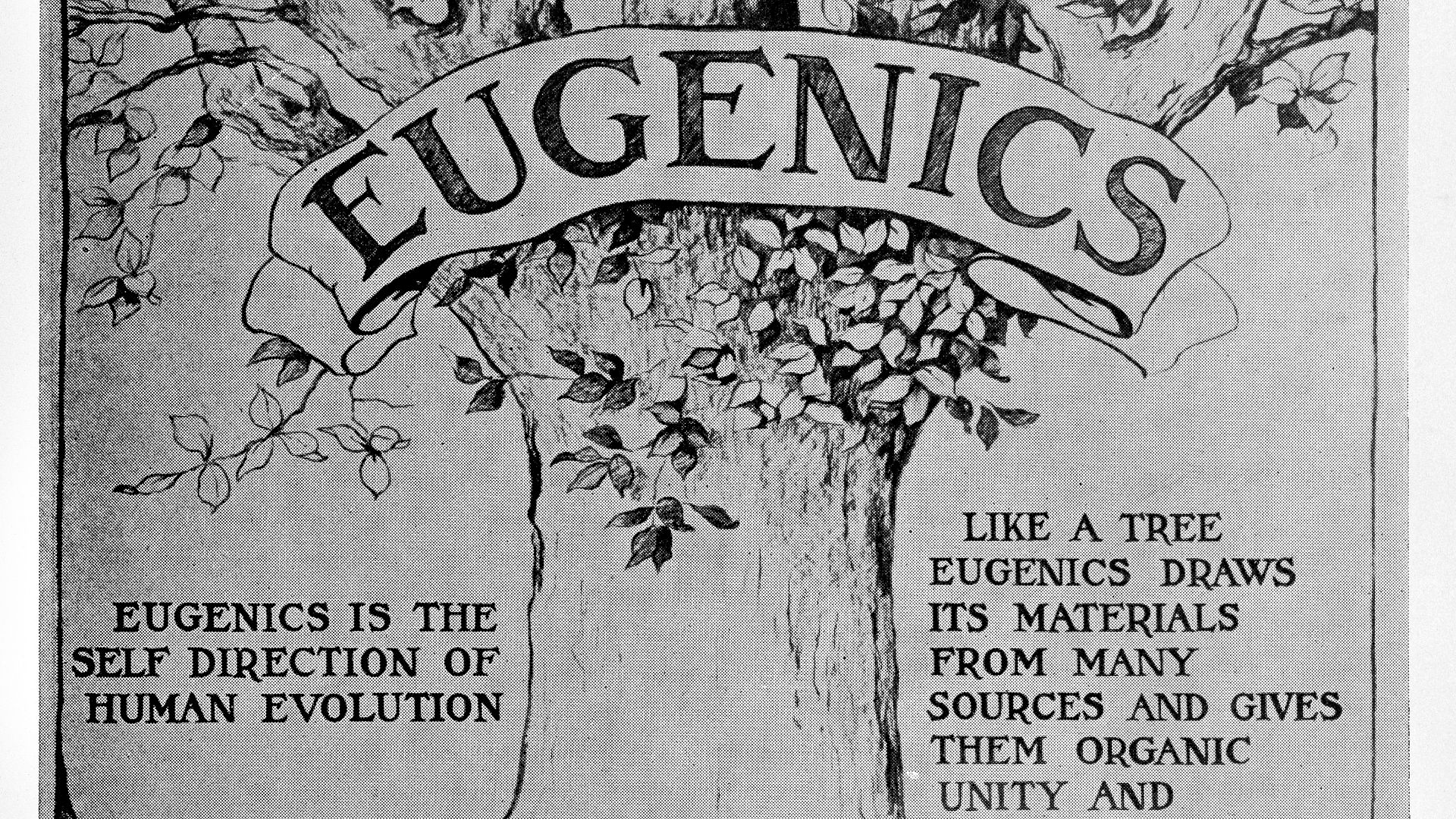 File:A decade of progress in Eugenics. Scientifi Wellcome L0032341.jpg