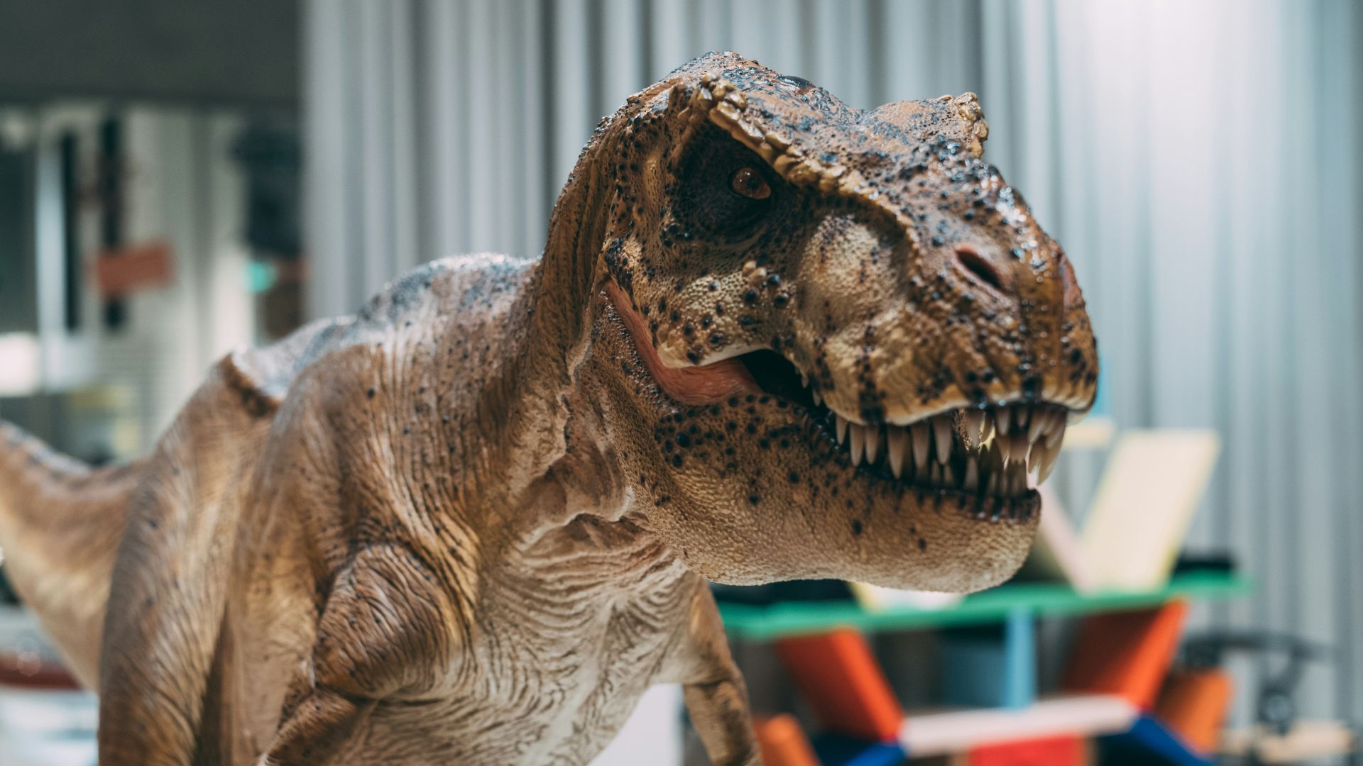 a toy t - shirt that looks like a dinosaur with its mouth open