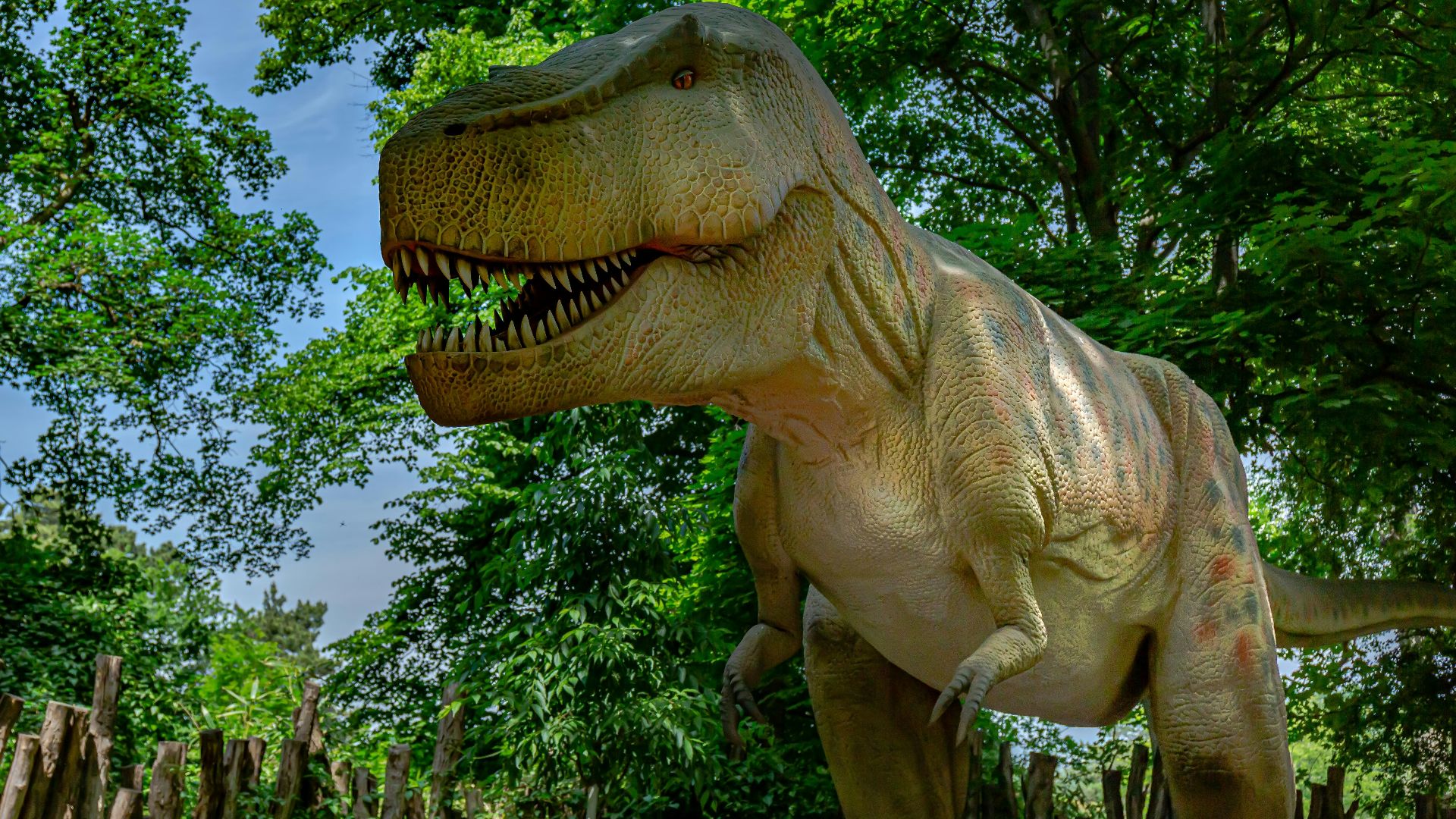 a dinosaur with its mouth open