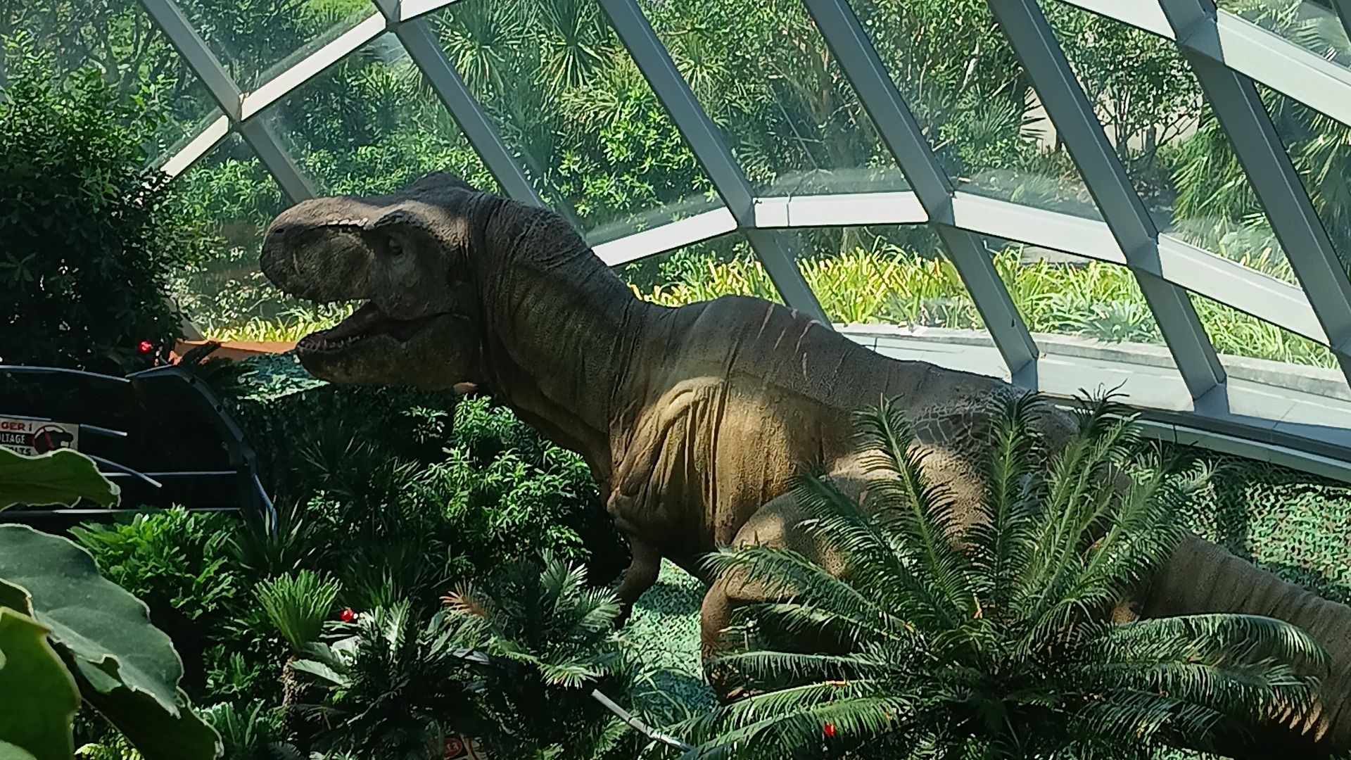 File:T-Rex model.jpg