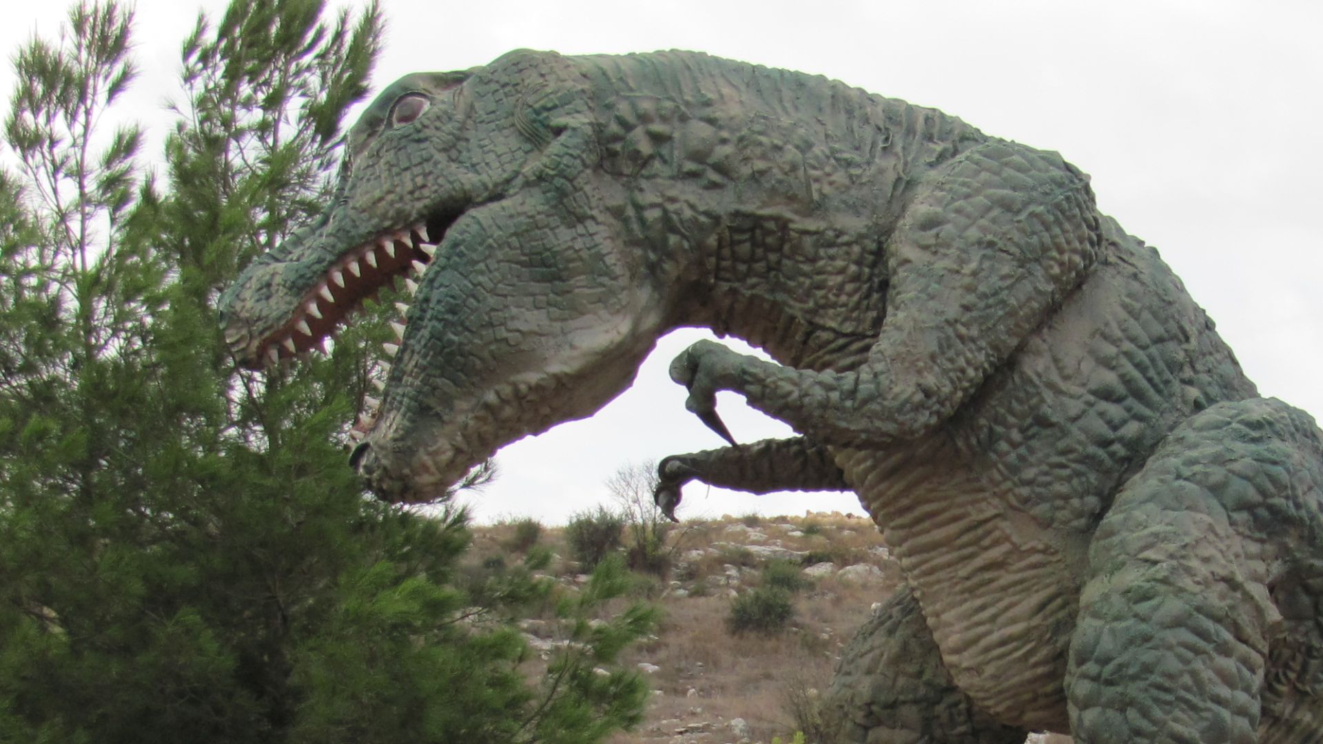File:T-Rex Anava Park.jpg