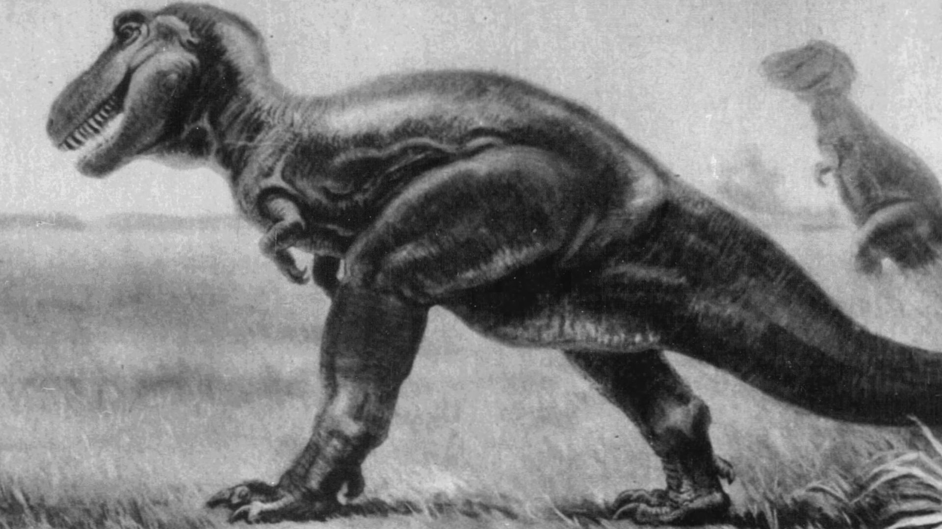 File:Tyrannosaurus Rex and Triceratops, painting by Charles R Knight.jpg