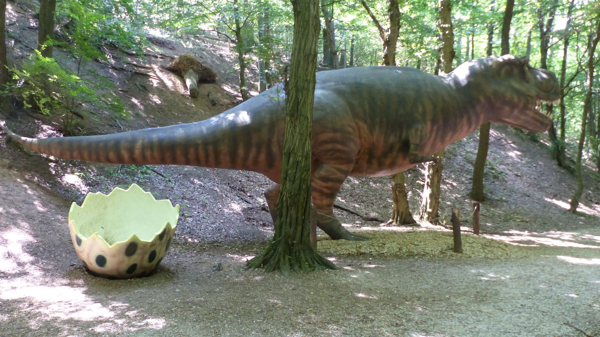 File:Tyrannosaurus Rex (3).jpg