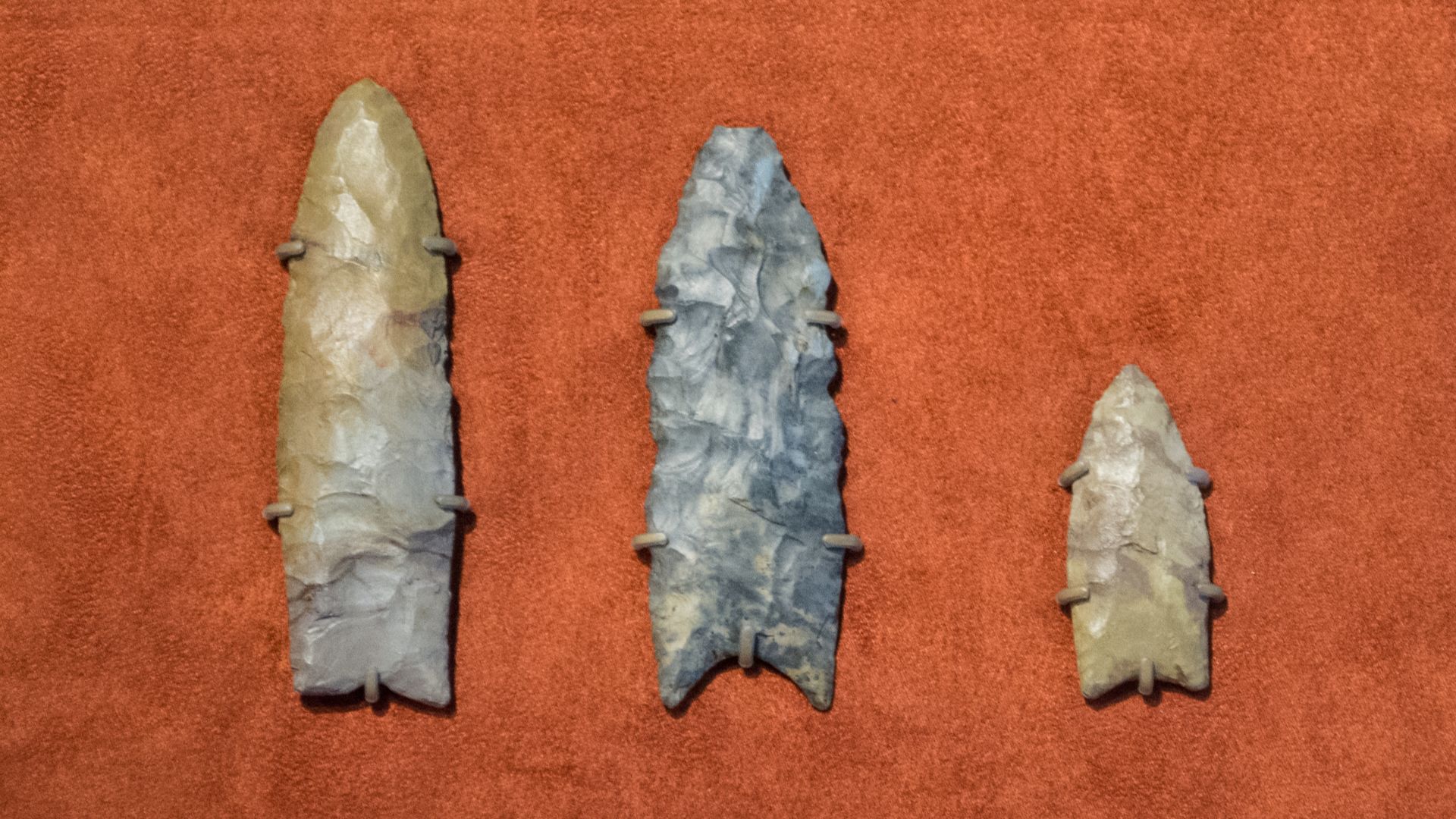 File:Clovis spearpoints collected in 1807 at the Cleveland Museum of Natural History in 2014.jpg