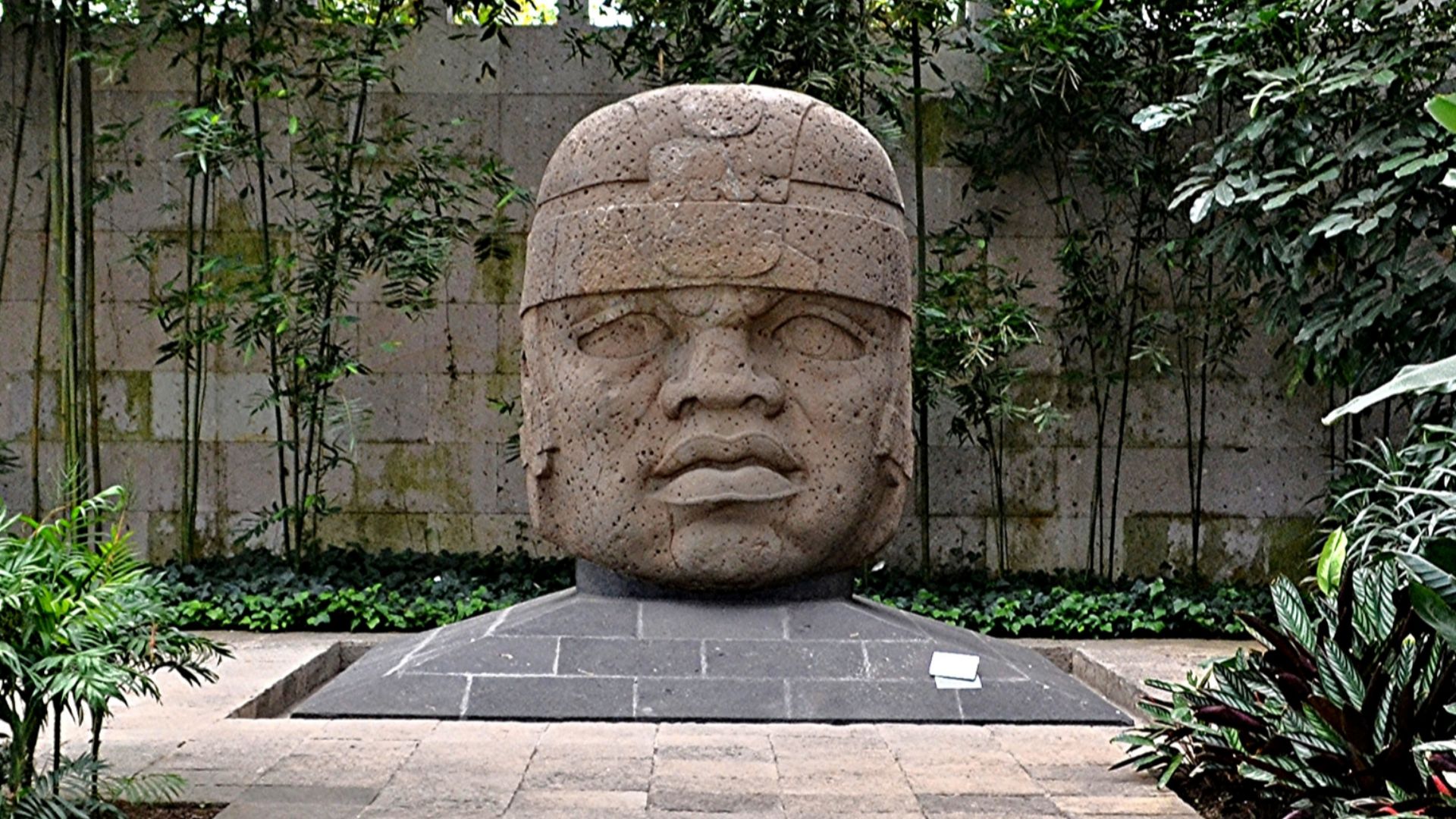 File:Olmec Head No. 1 at Xalapa, Veracruz, Mexico.jpg
