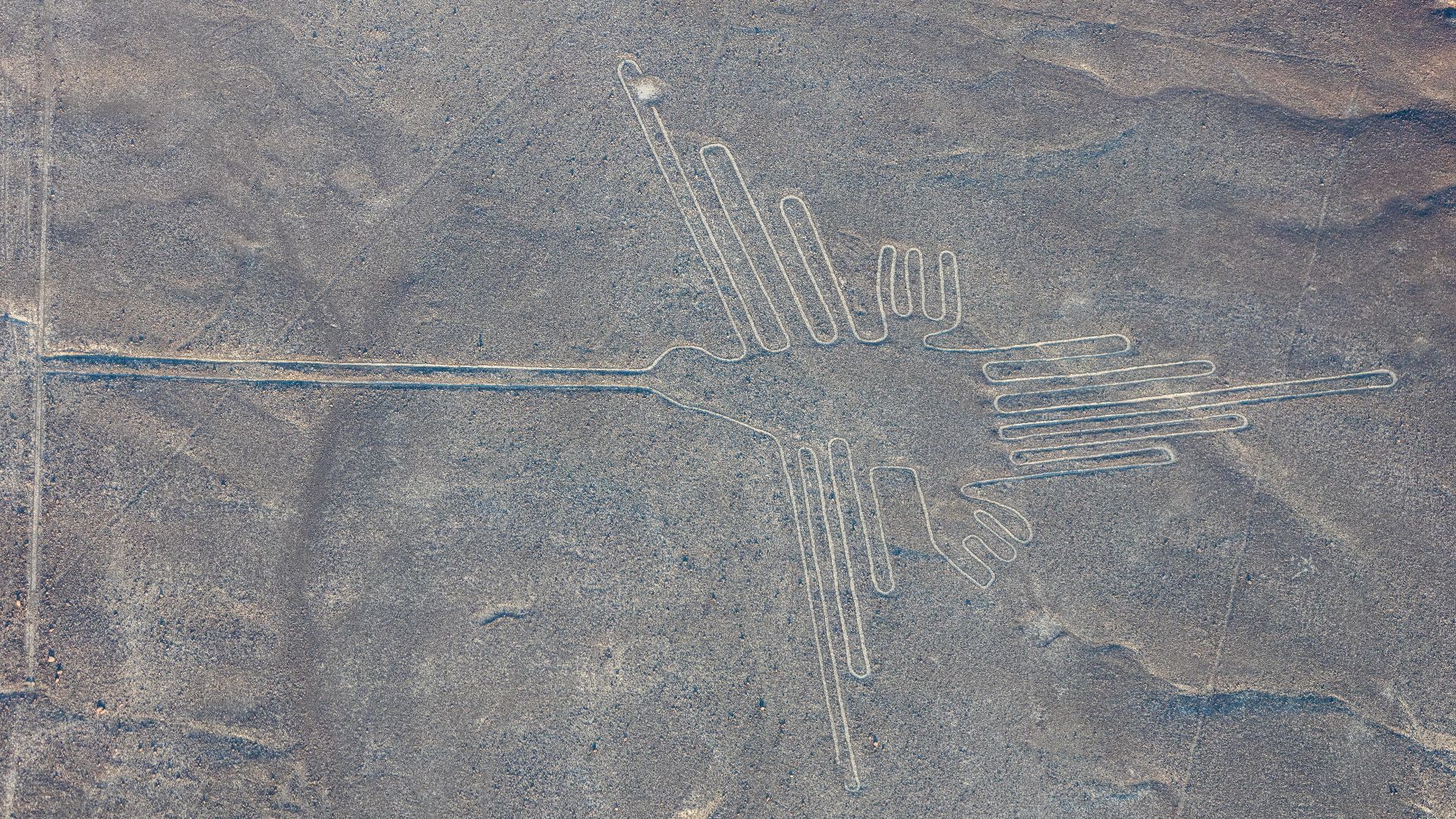 File:Líneas de Nazca, Nazca, Perú, 2015-07-29, DD 52.JPG