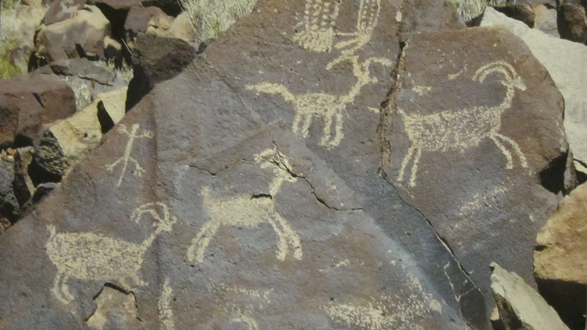File:Coso petroglyphs (1).JPG