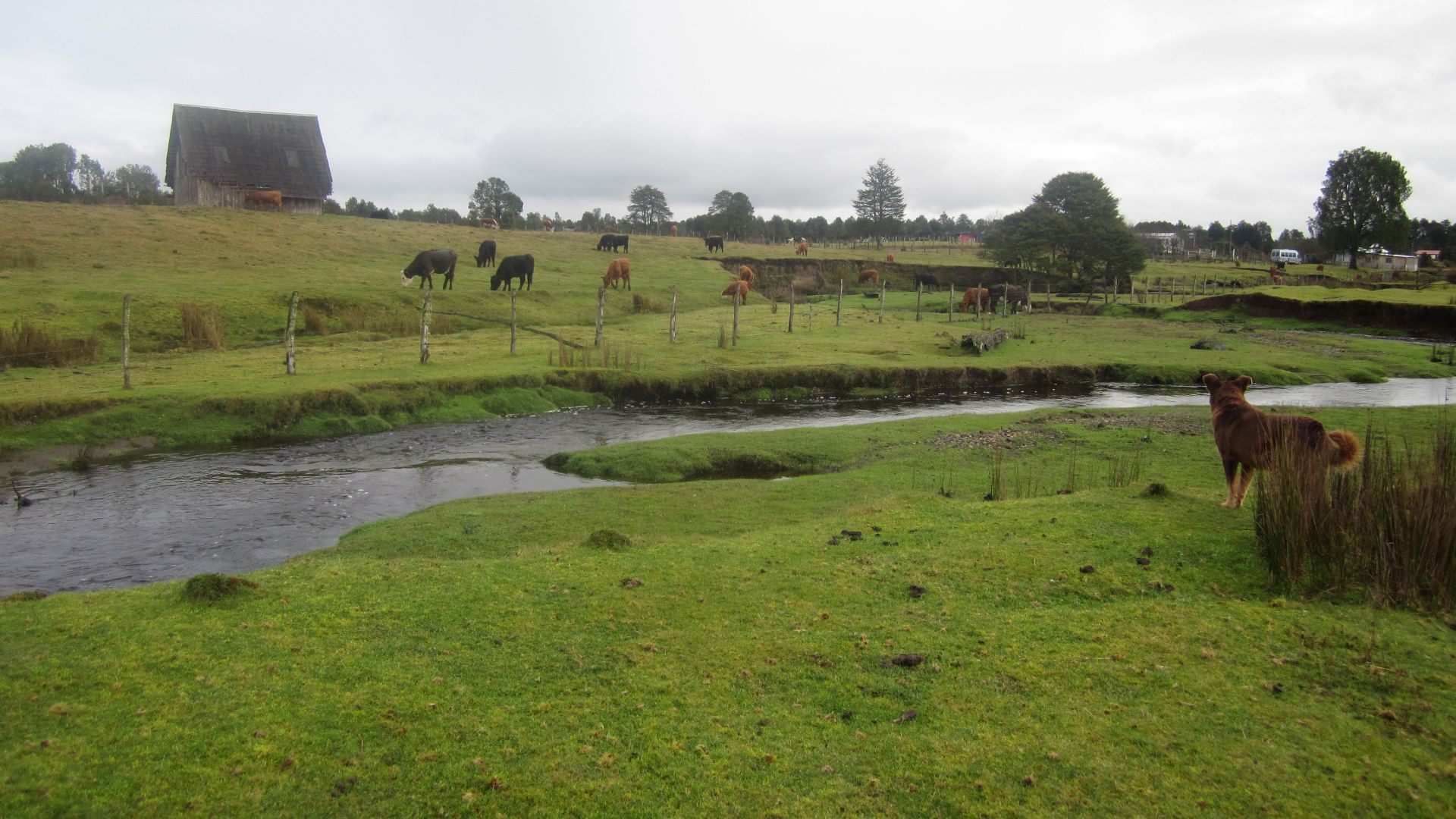 File:Monte Verde 2012.jpg