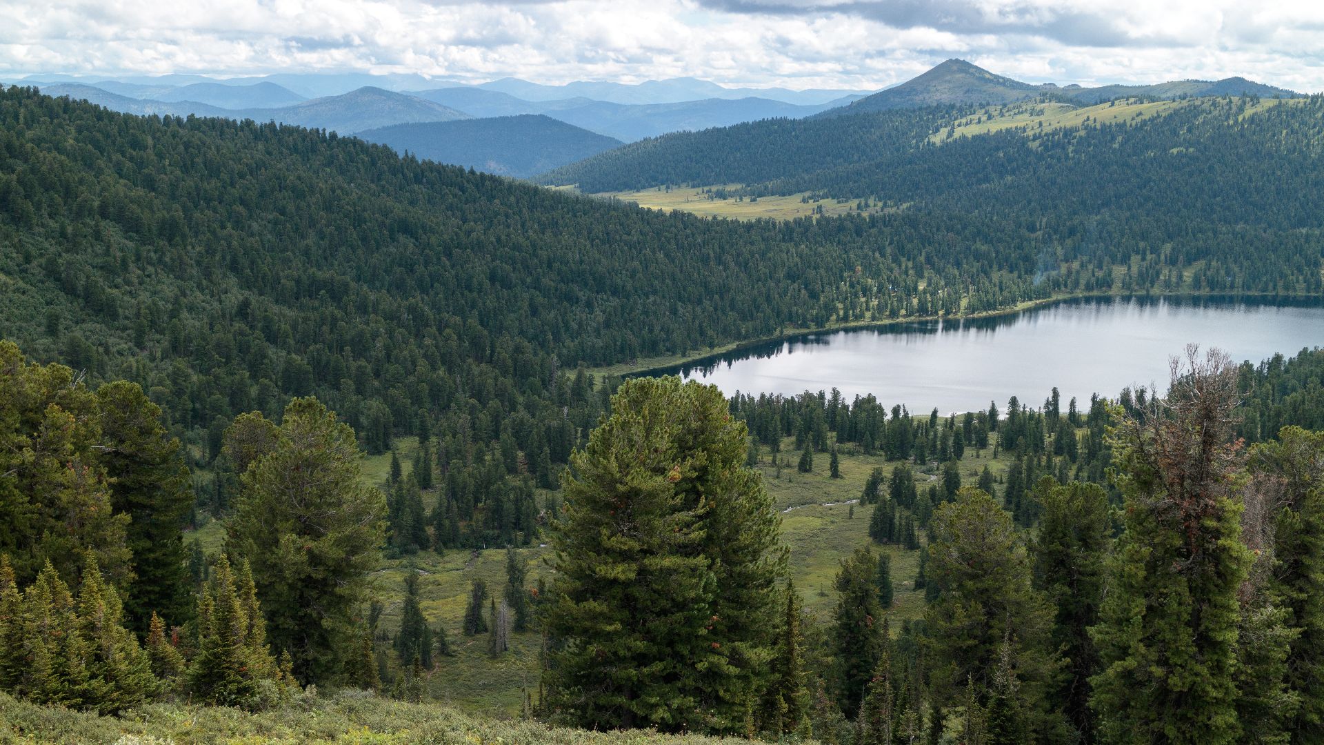 File:Ergaki, Taiga in Siberia, Dark coniferous forest, Sayan Mountains, Russia.jpg