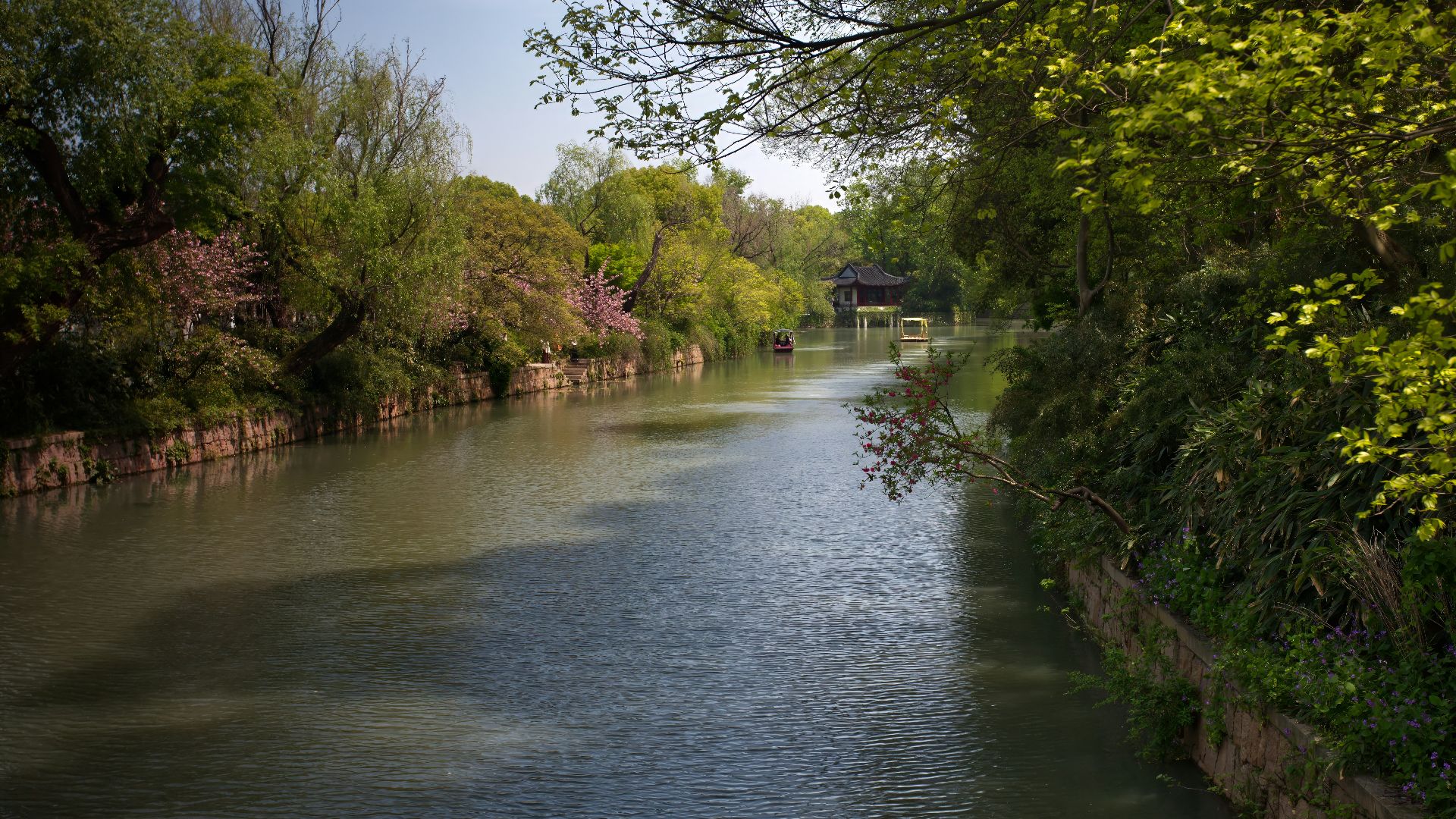 a river running through a lush green forest