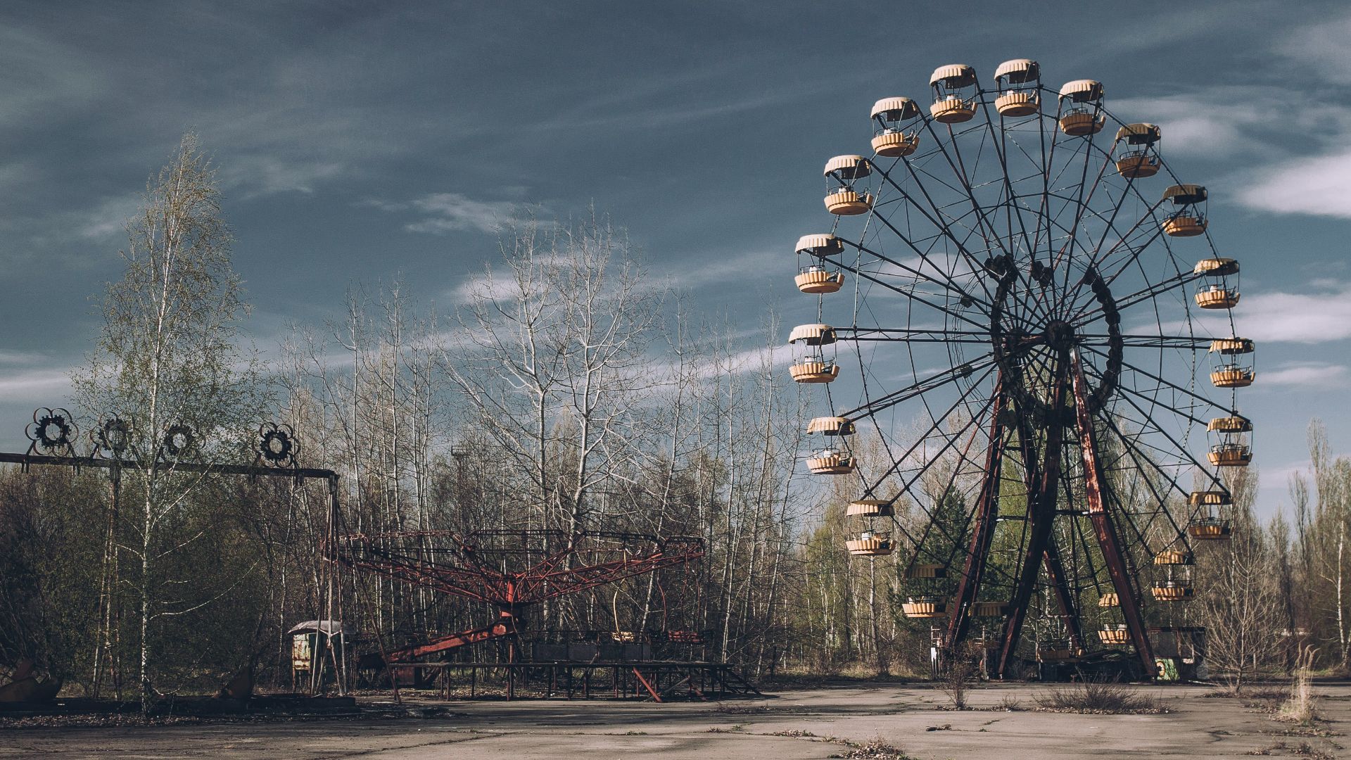 a large ferris wheel sitting in the middle of a forest