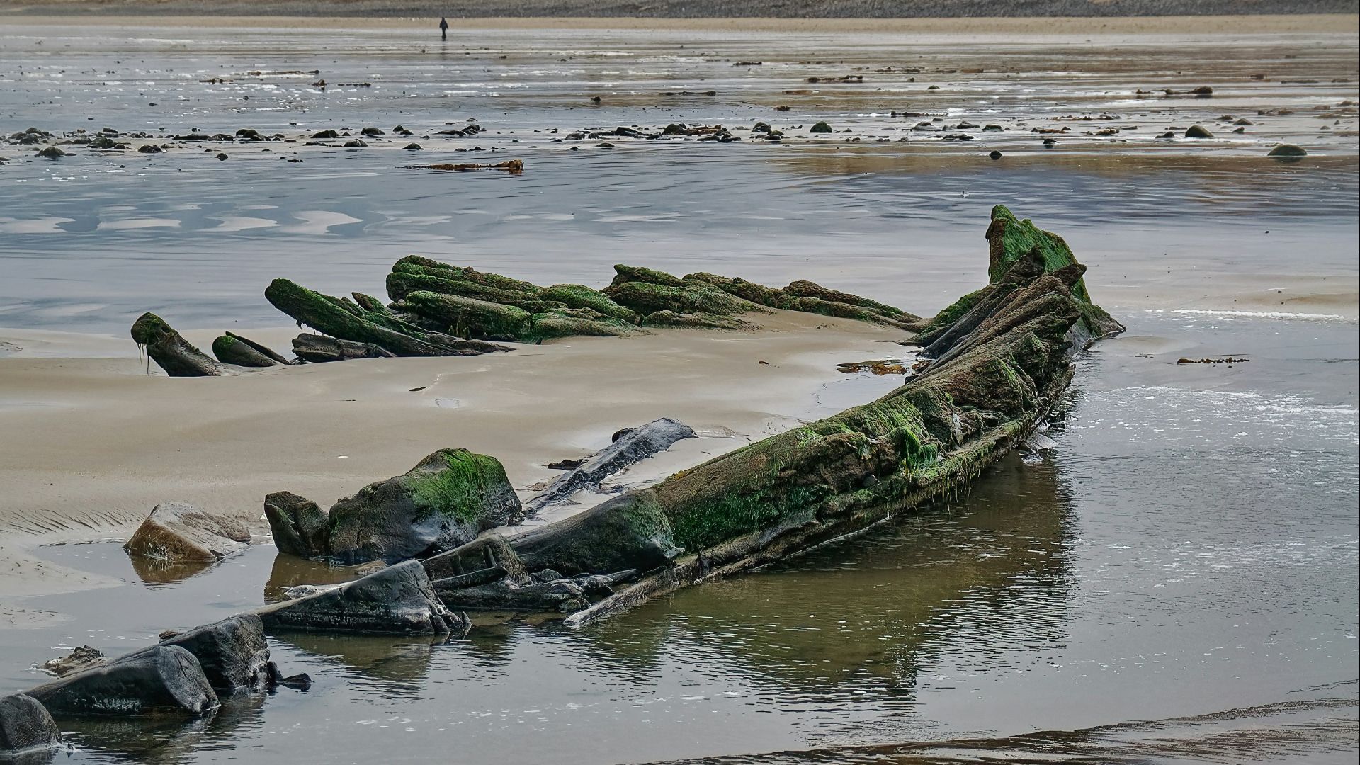 green and black boat on sea shore during daytime