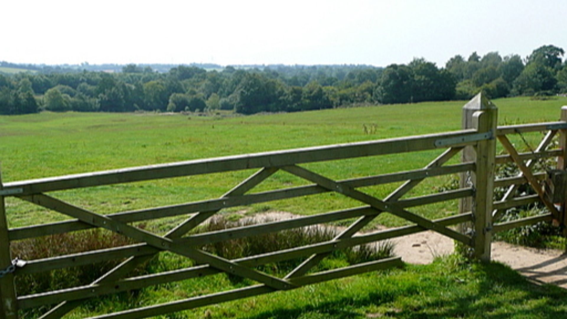 File:Battle of Hastings - geograph.org.uk - 2217137.jpg