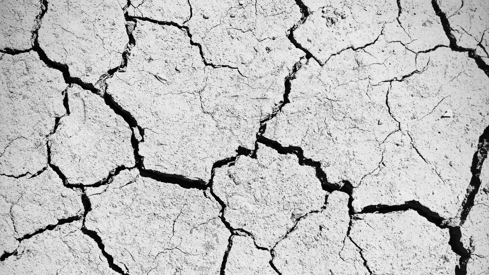 A black and white photo of a cracked surface