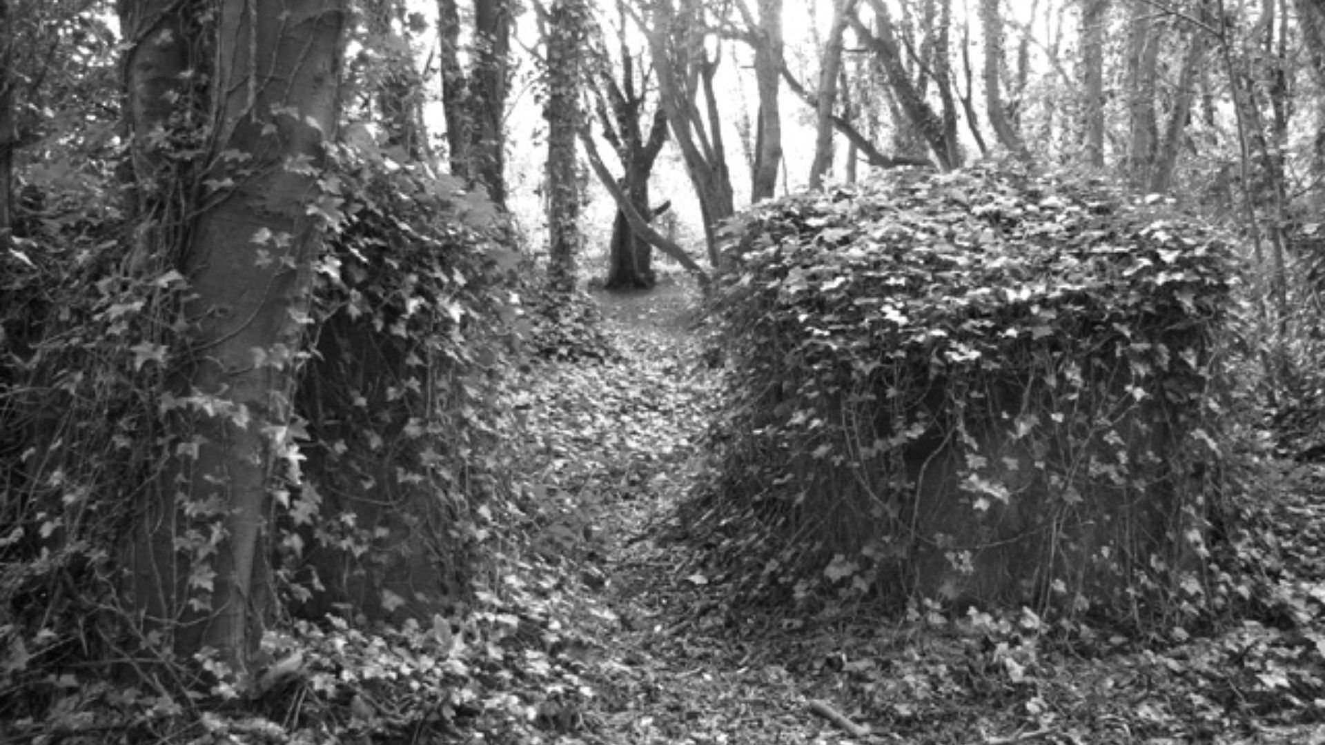 File:Anti-tank cubes from WW2 - geograph.org.uk - 3851172.jpg