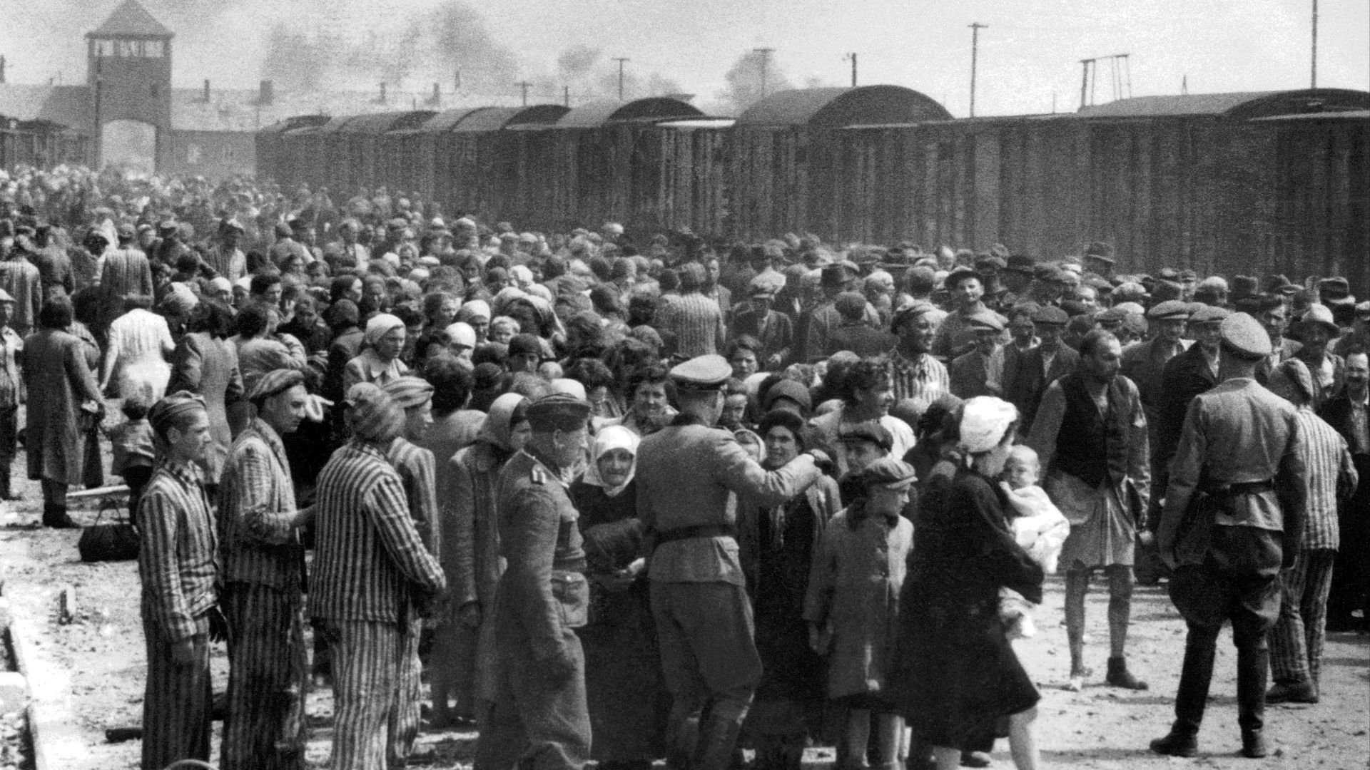 File:Selection on the ramp at Auschwitz-Birkenau, 1944 (Auschwitz Album) 1b.jpg