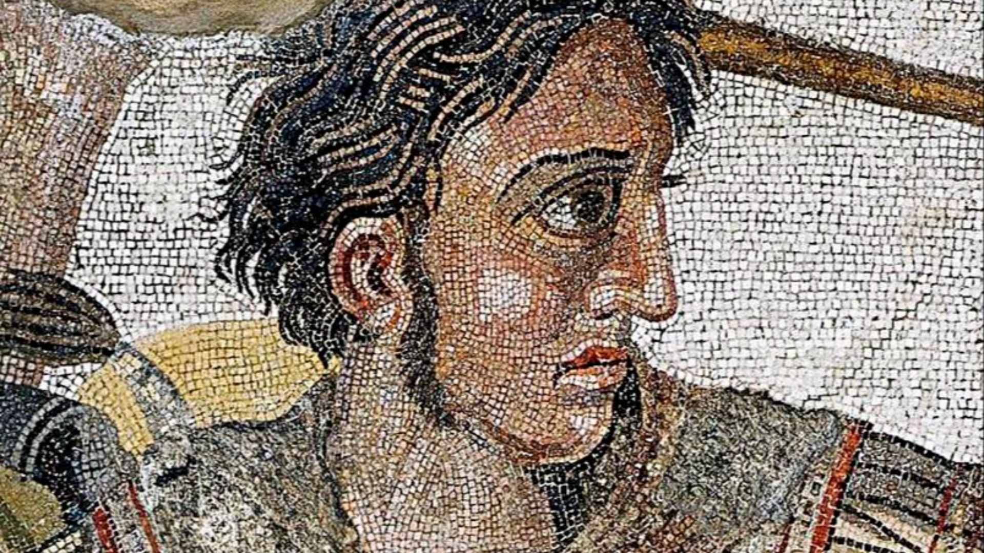 File:Alexander the Great mosaic (cropped).jpg